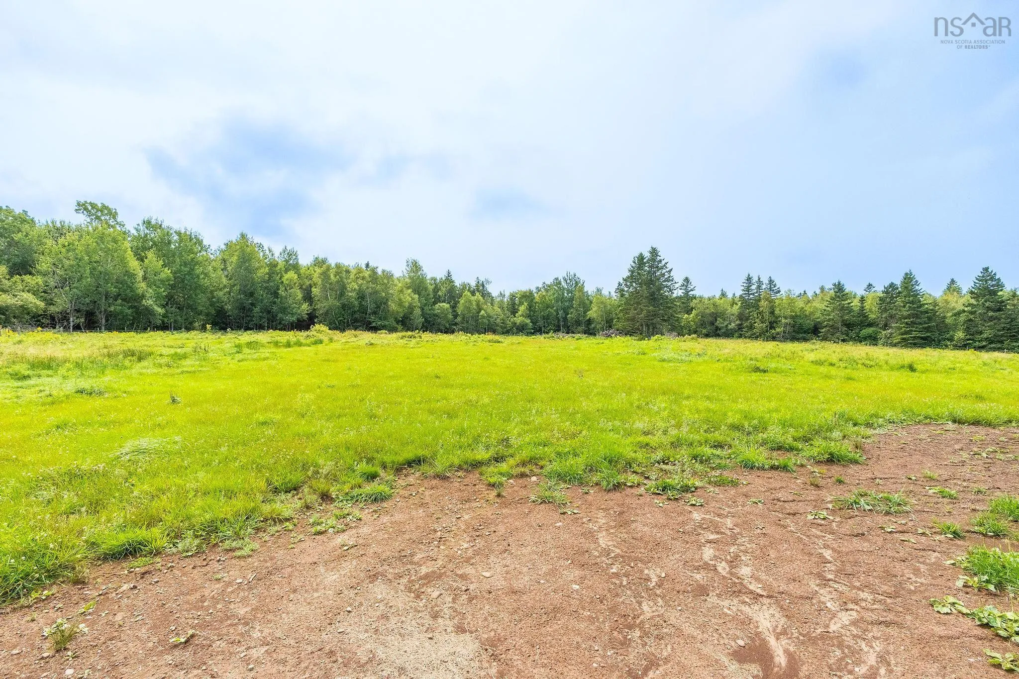 239 Brinton Road, Port Lorne, NS B0S 1L0, 3 Bedrooms Bedrooms, ,1 BathroomBathrooms,Farm,For Sale,Brinton Road,202519996