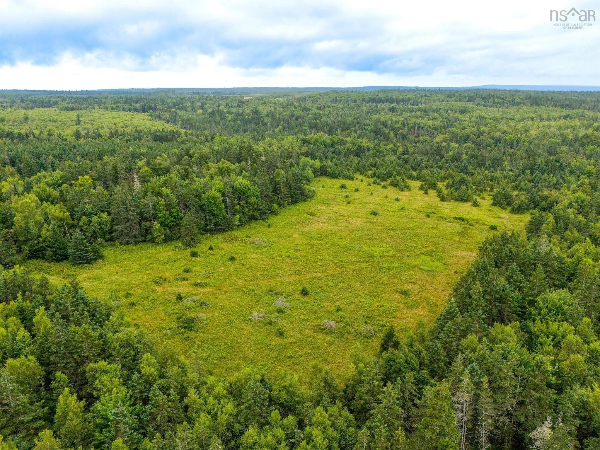 239 Brinton Road, Port Lorne, NS B0S 1L0, 3 Bedrooms Bedrooms, ,1 BathroomBathrooms,Farm,For Sale,Brinton Road,202519996