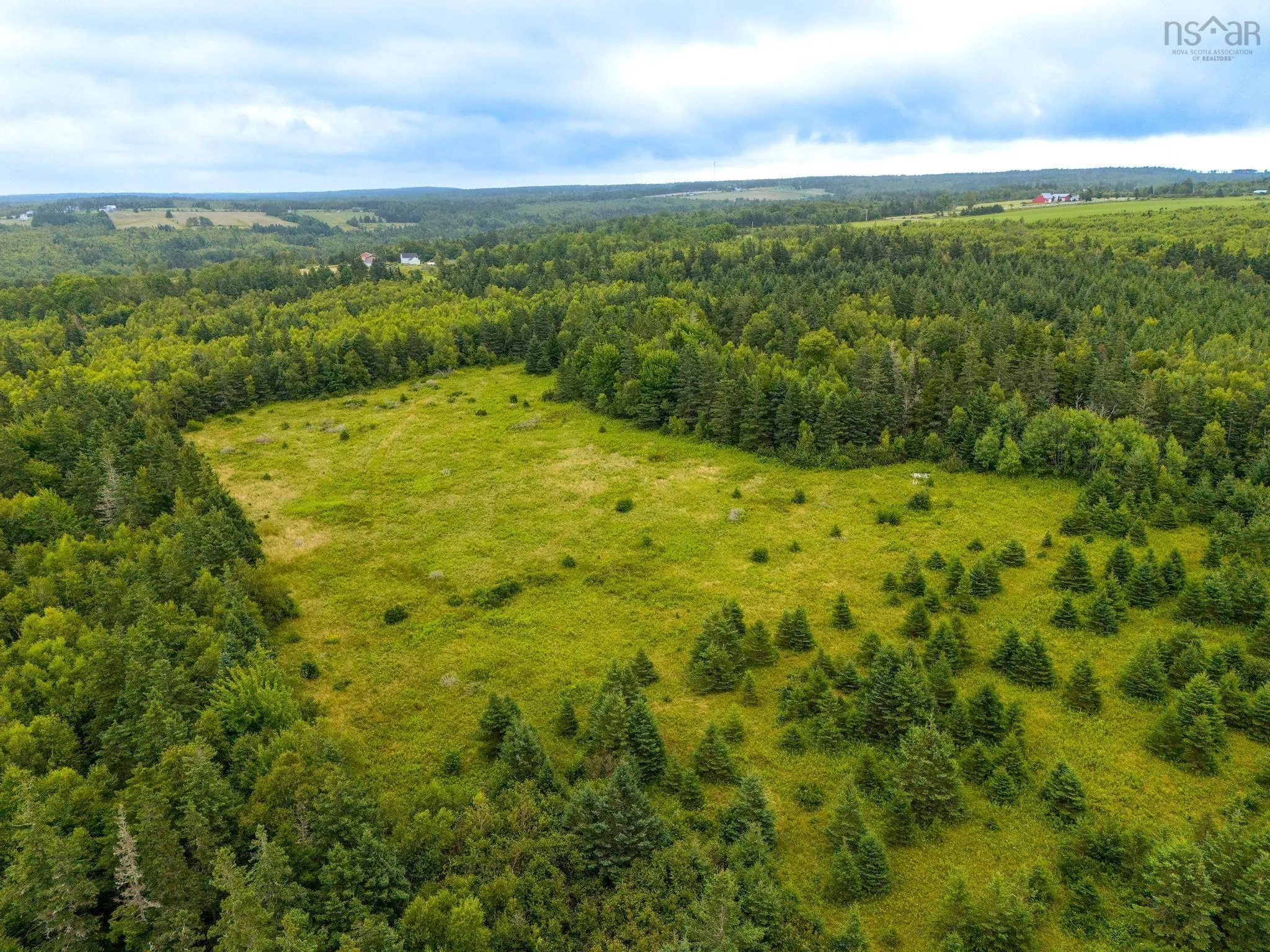 239 Brinton Road, Port Lorne, NS B0S 1L0, 3 Bedrooms Bedrooms, ,1 BathroomBathrooms,Farm,For Sale,Brinton Road,202519996