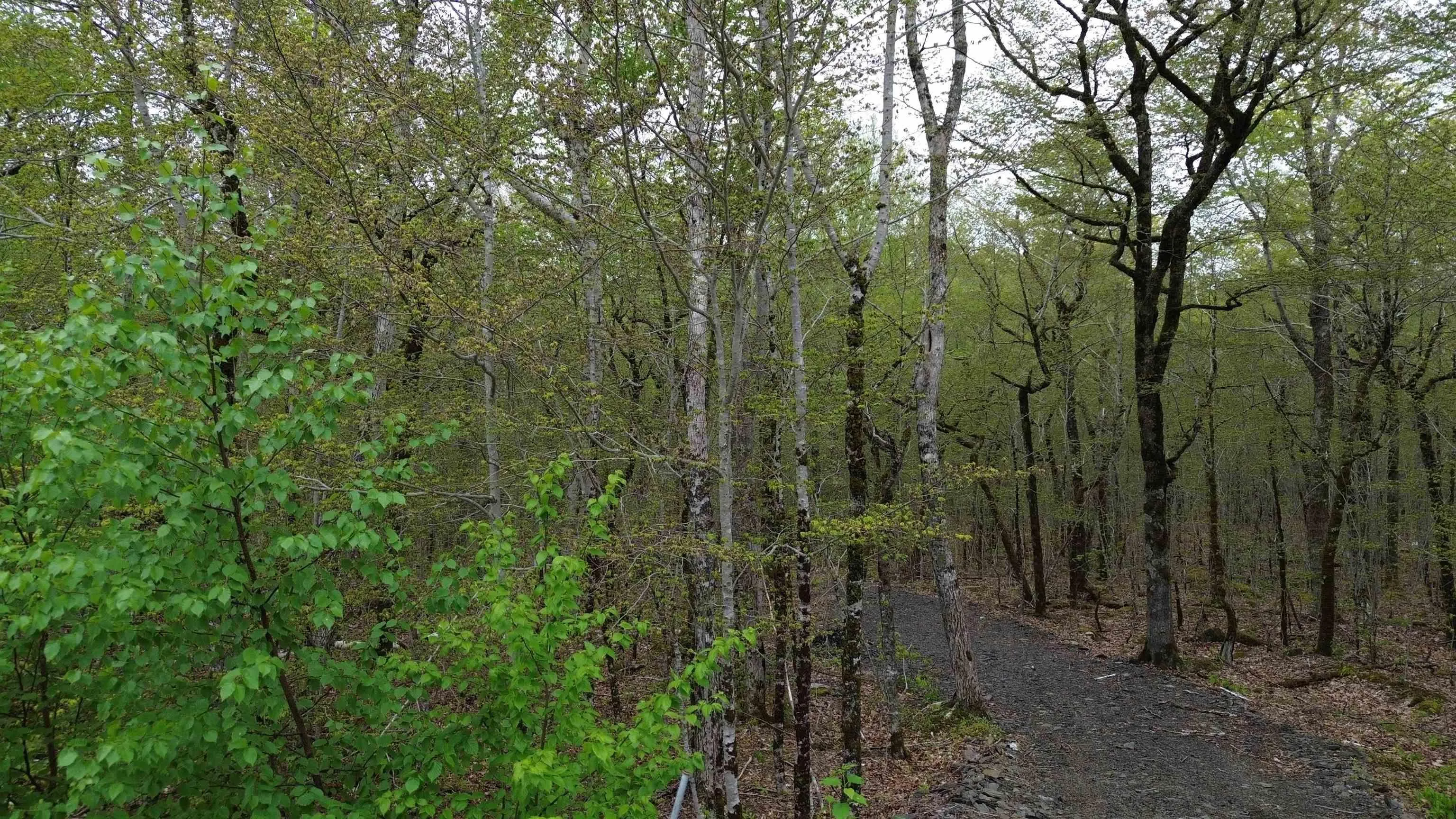 Lot 46 Turner Point Road, Walden, NS B0J 2E0, ,Land,For Sale,Turner Point,202511451