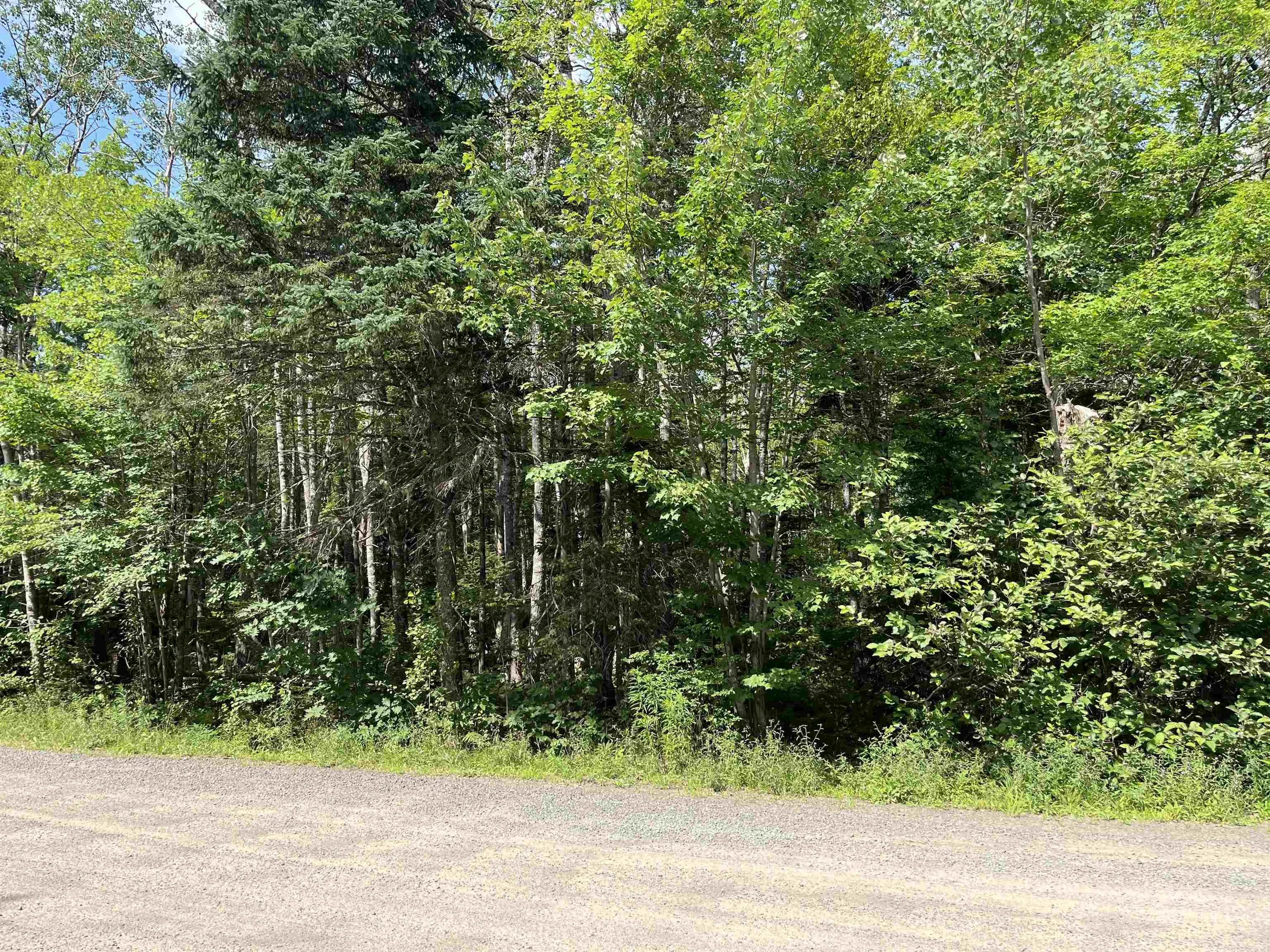 7-lots 1-7 Butler Road Road, Forest Home Ns B4n 3v8, ,Land,For Sale,Butler Road,202307831