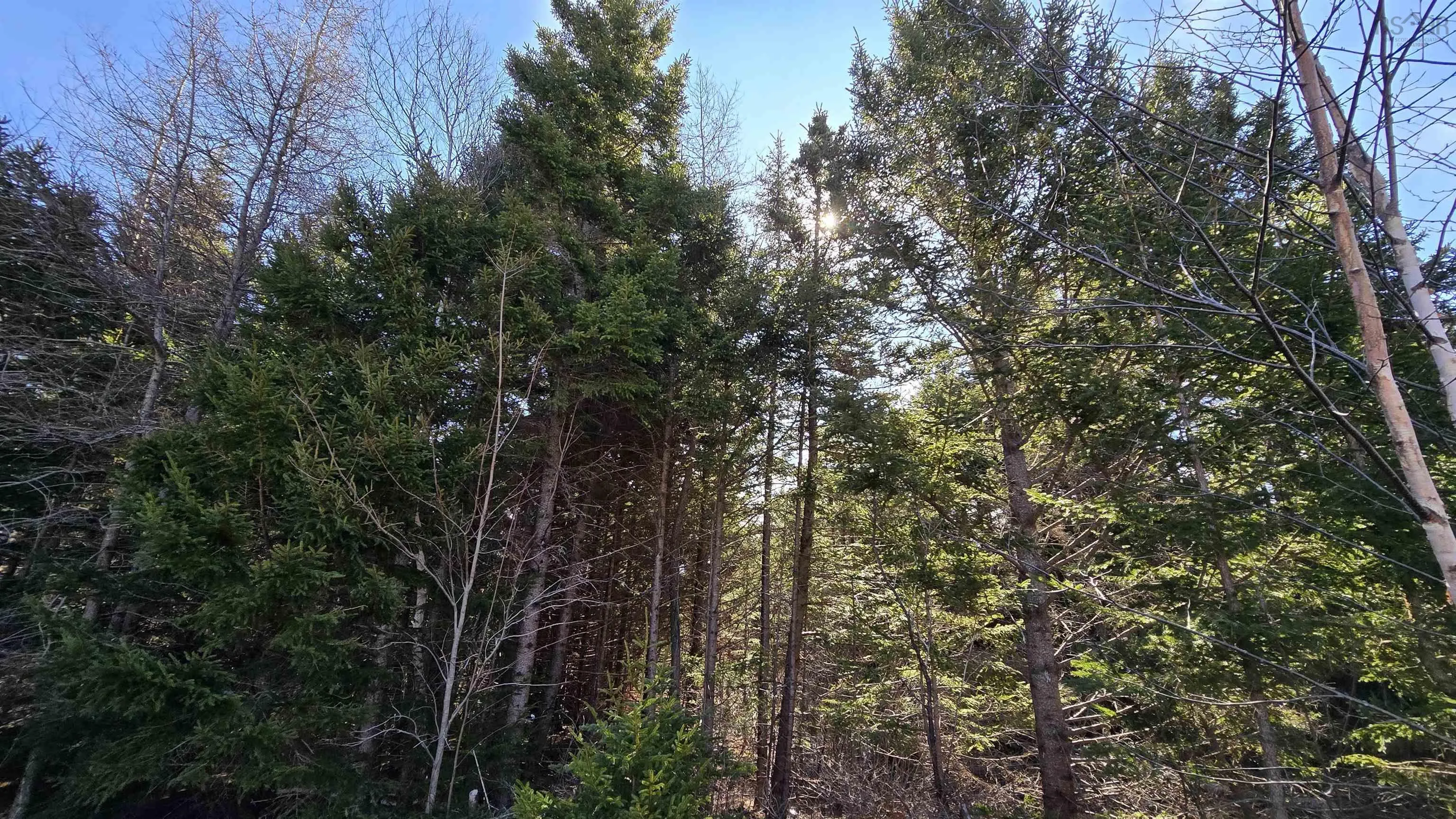 Dugas Lane Lot 2, Ohio Ns B0w 3t0, 3 Bedrooms Bedrooms, ,1 BathroomBathrooms,Residential,For Sale,Dugas,202505083