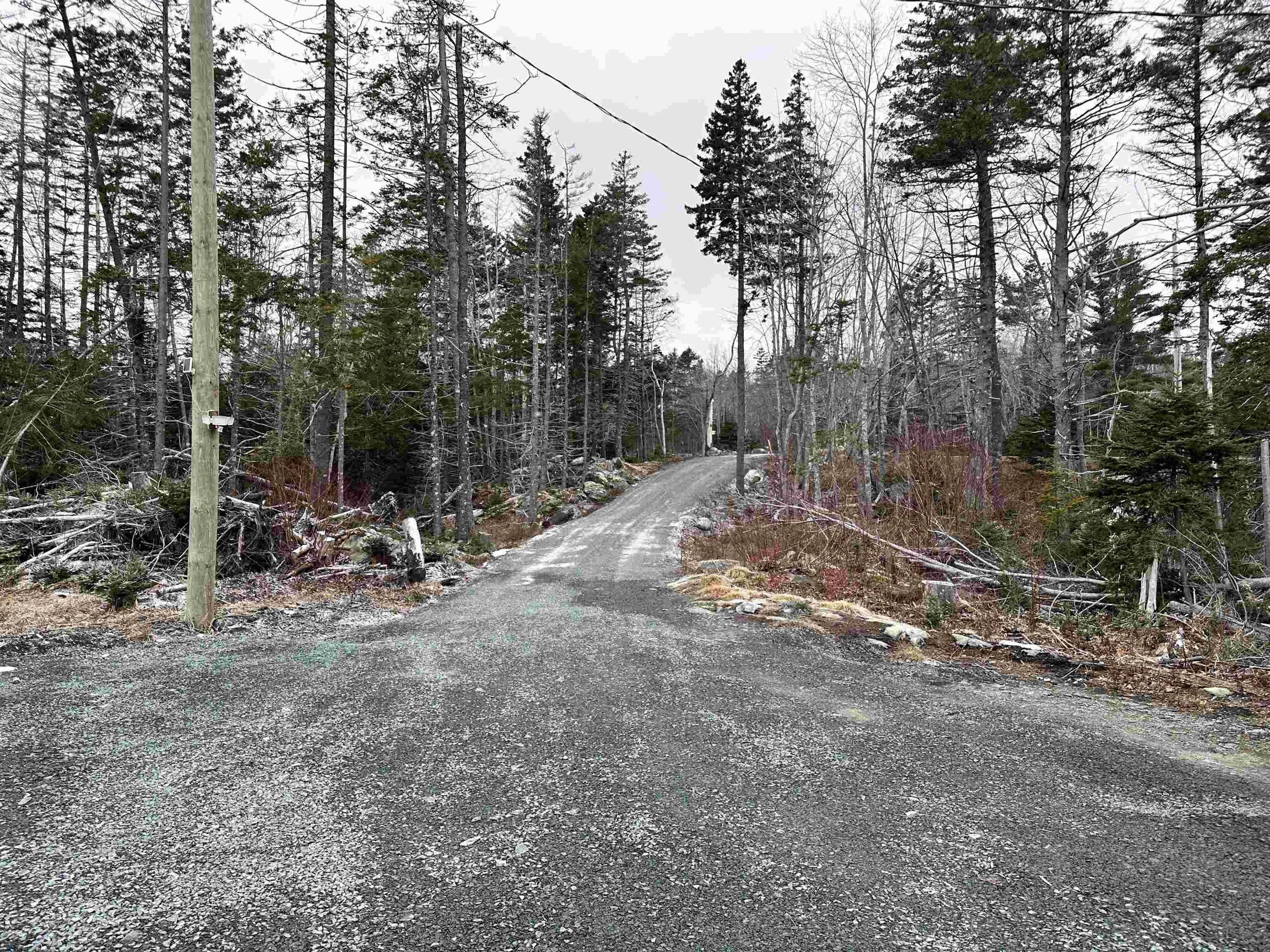590 Eastern Shore Road, Beach Meadows Ns B0j 1h0, ,Land,For Sale,Eastern Shore,202500976
