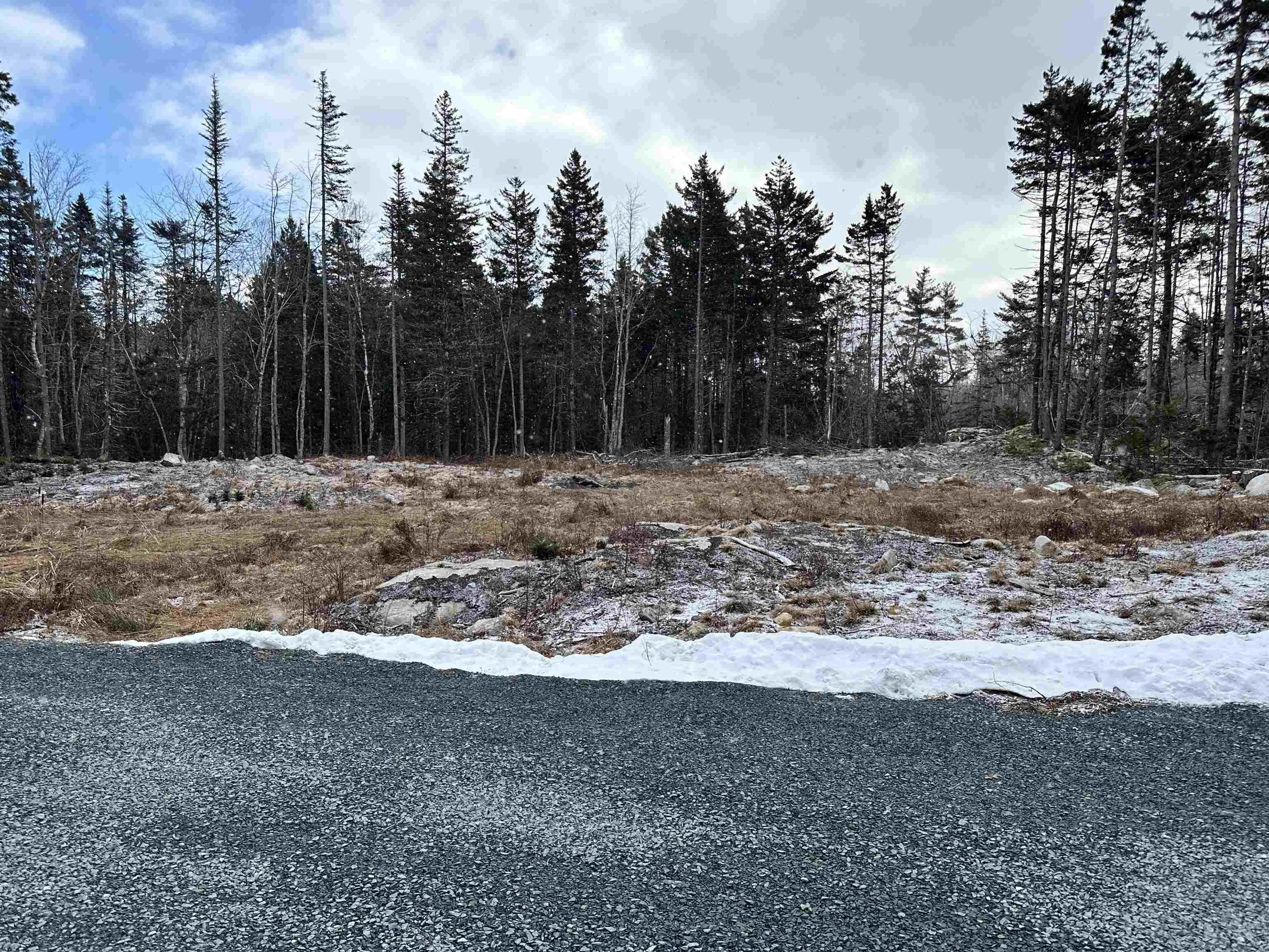 590 Eastern Shore Road, Beach Meadows Ns B0j 1h0, ,Land,For Sale,Eastern Shore,202500976