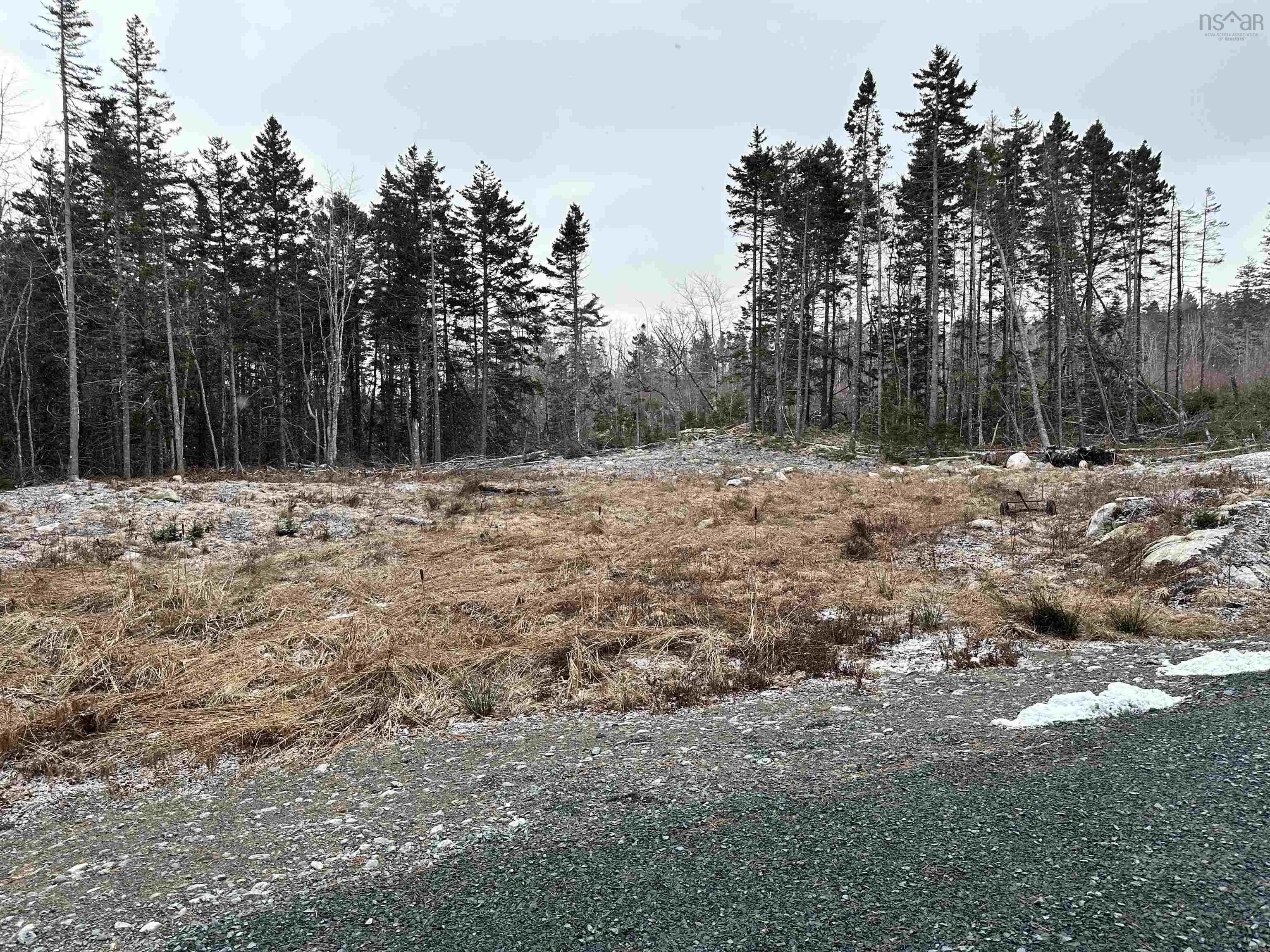 590 Eastern Shore Road, Beach Meadows Ns B0j 1h0, ,Land,For Sale,Eastern Shore,202500976