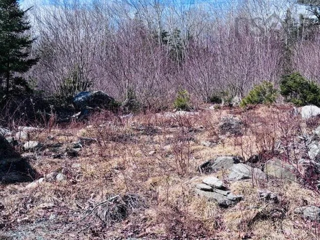 8494 Highway 3, Port Mouton Ns B0t 1t0, ,Land,For Sale,Highway 3,202505778