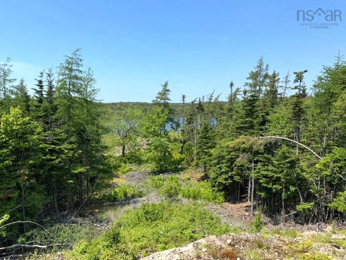 Grandique Road Lot 4, Arichat Ns B0e 1k0, ,Land,For Sale,Grandique,202409283