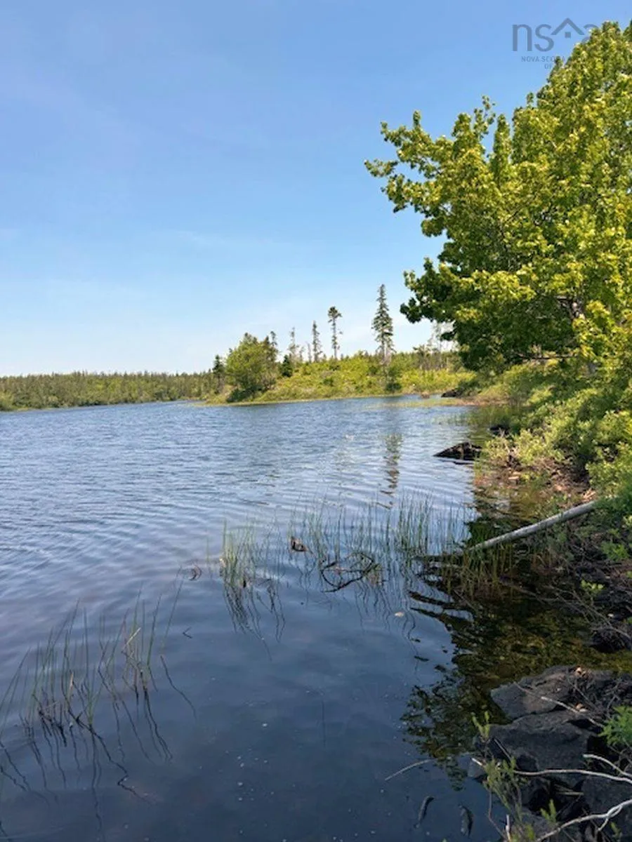 Grandique Road Lot 4, Arichat Ns B0e 1k0, ,Land,For Sale,Grandique,202409283