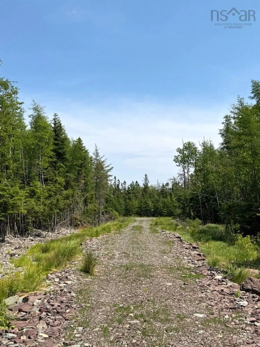 Grandique Road Lot 4, Arichat Ns B0e 1k0, ,Land,For Sale,Grandique,202409283