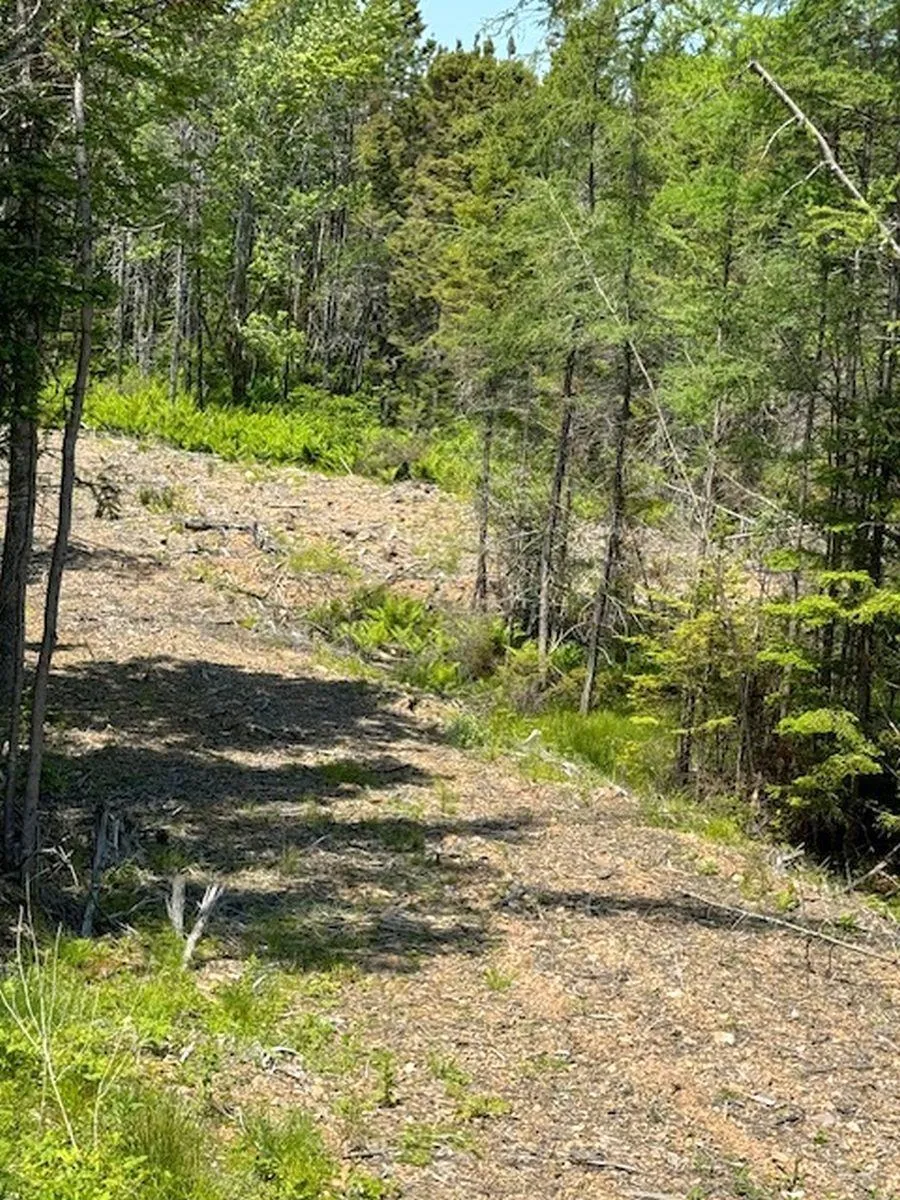 Grandique Road Lot 4, Arichat Ns B0e 1k0, ,Land,For Sale,Grandique,202409283