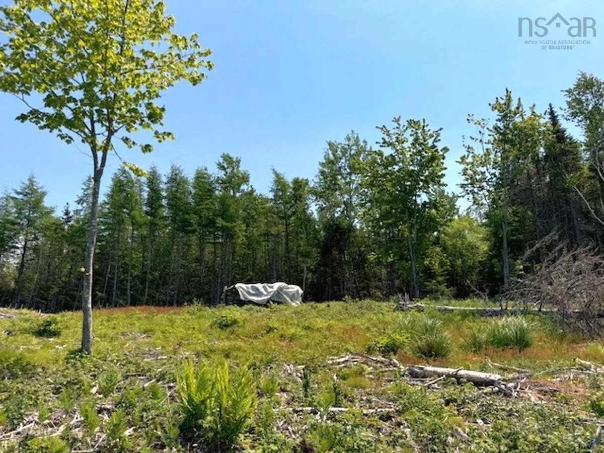 Grandique Road Lot 4, Arichat Ns B0e 1k0, ,Land,For Sale,Grandique,202409283
