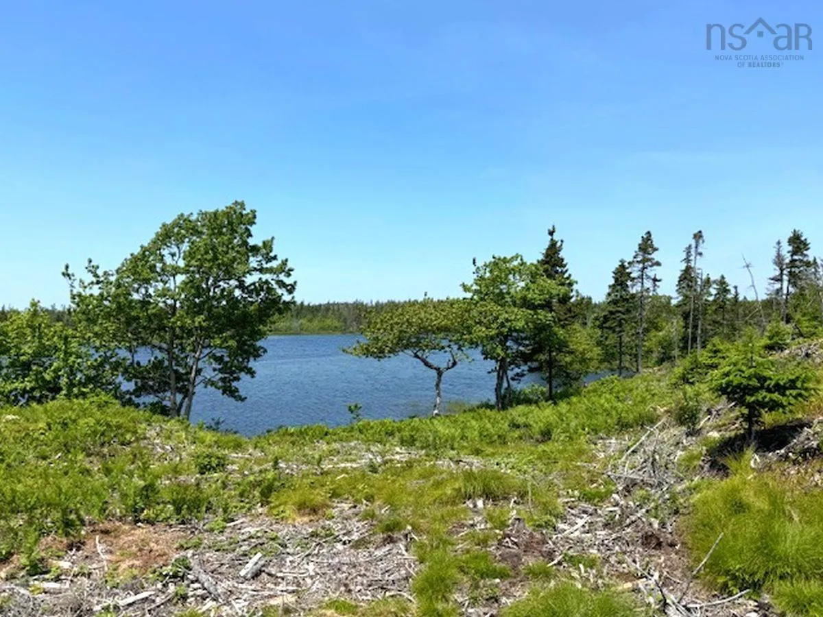 Grandique Road Lot 4, Arichat Ns B0e 1k0, ,Land,For Sale,Grandique,202409283