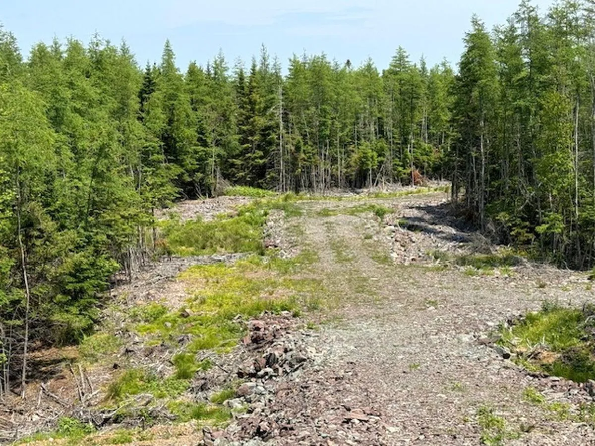 Grandique Road Lot 4, Arichat Ns B0e 1k0, ,Land,For Sale,Grandique,202409283