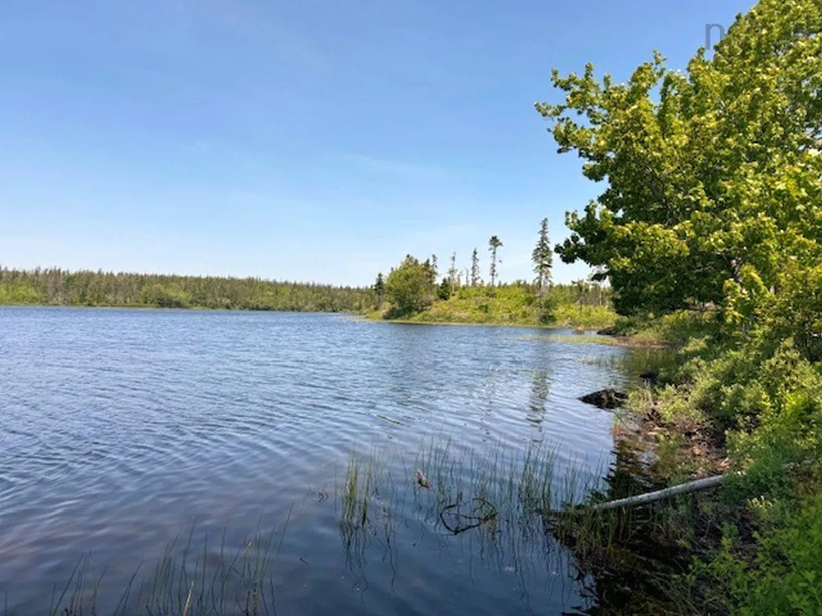 Grandique Road Lot 4, Arichat Ns B0e 1k0, ,Land,For Sale,Grandique,202409283