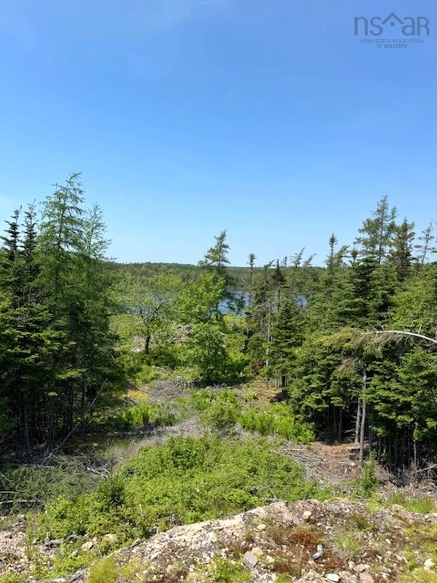 Grandique Road Lot 4, Arichat Ns B0e 1k0, ,Land,For Sale,Grandique,202409283