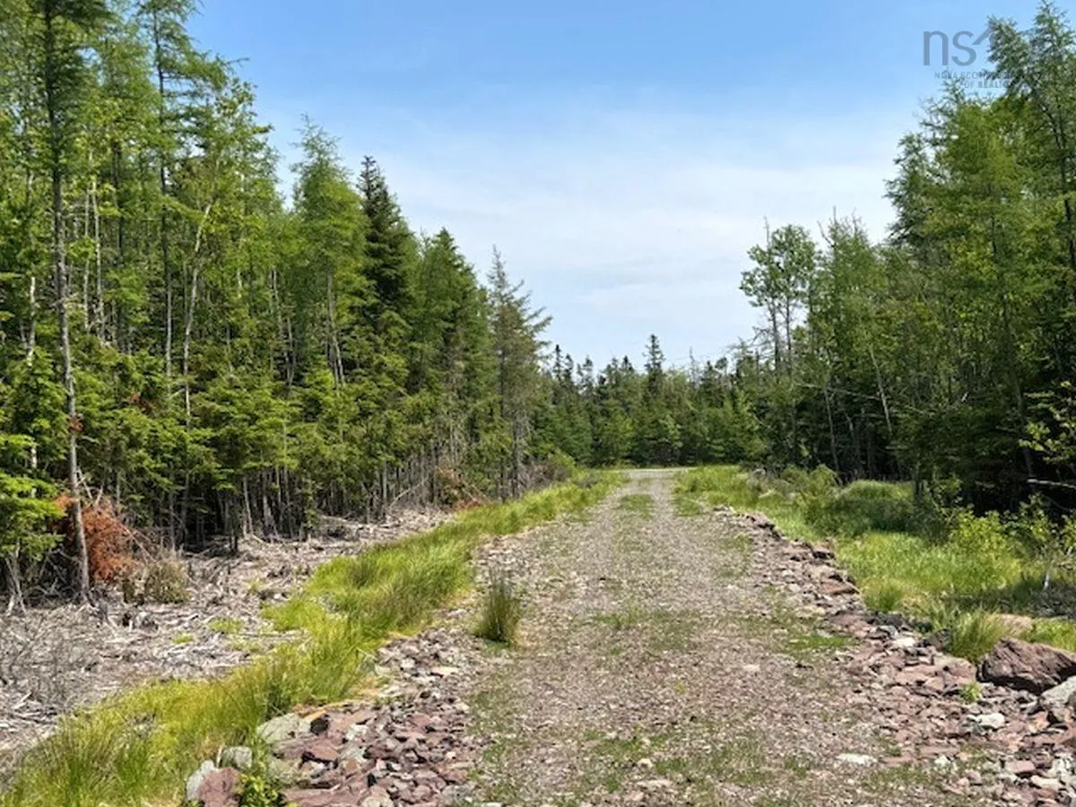 Grandique Road Lot 4, Arichat Ns B0e 1k0, ,Land,For Sale,Grandique,202409283