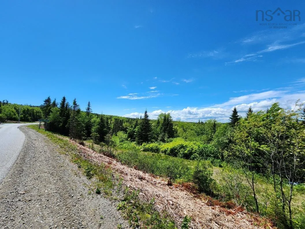 Larrys River Road, Lundy Ns B0h 1n0, ,Land,For Sale,Larrys River,202412999