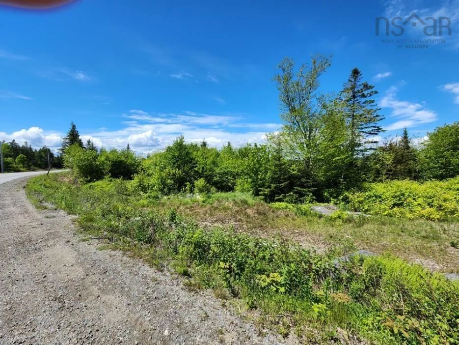 Larrys River Road, Lundy Ns B0h 1n0, ,Land,For Sale,Larrys River,202412999