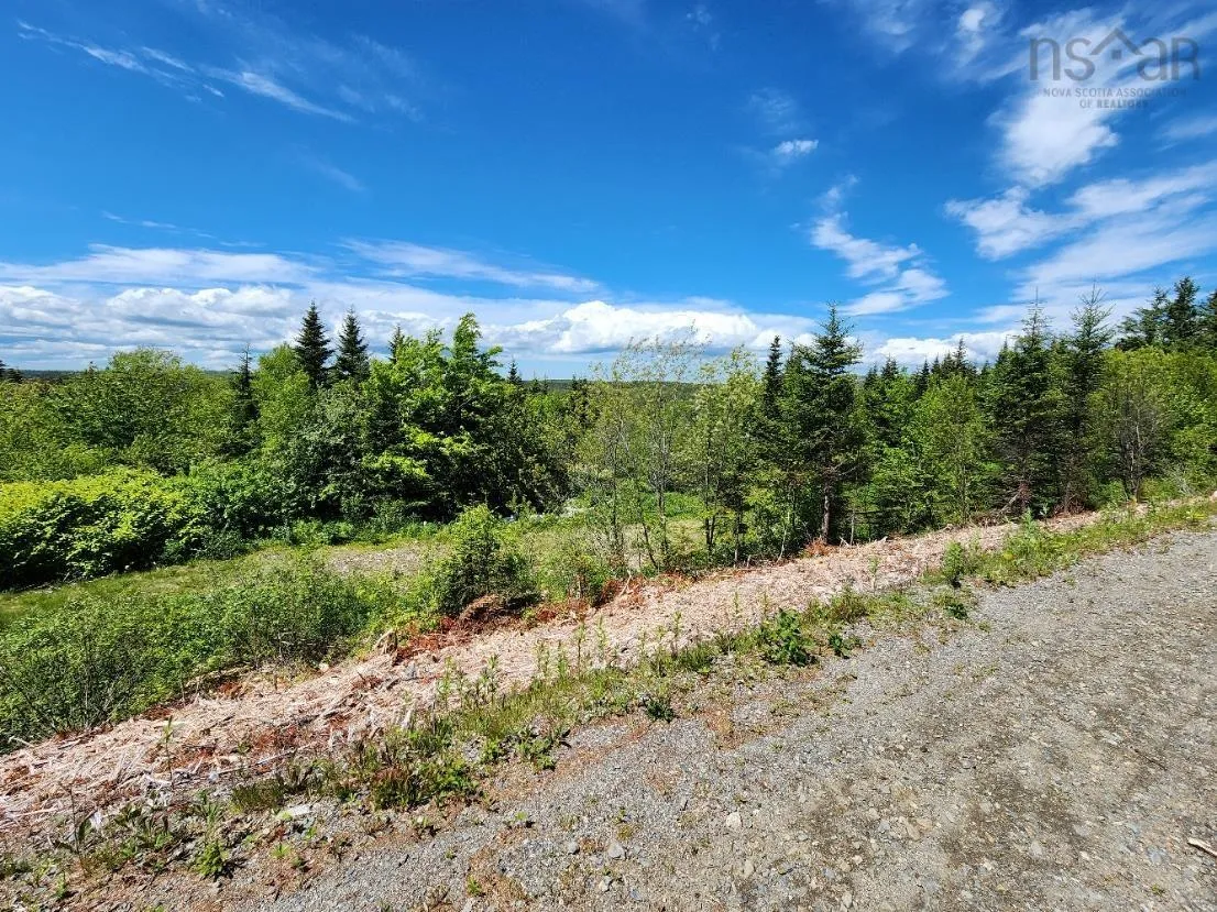 Larrys River Road, Lundy Ns B0h 1n0, ,Land,For Sale,Larrys River,202412999