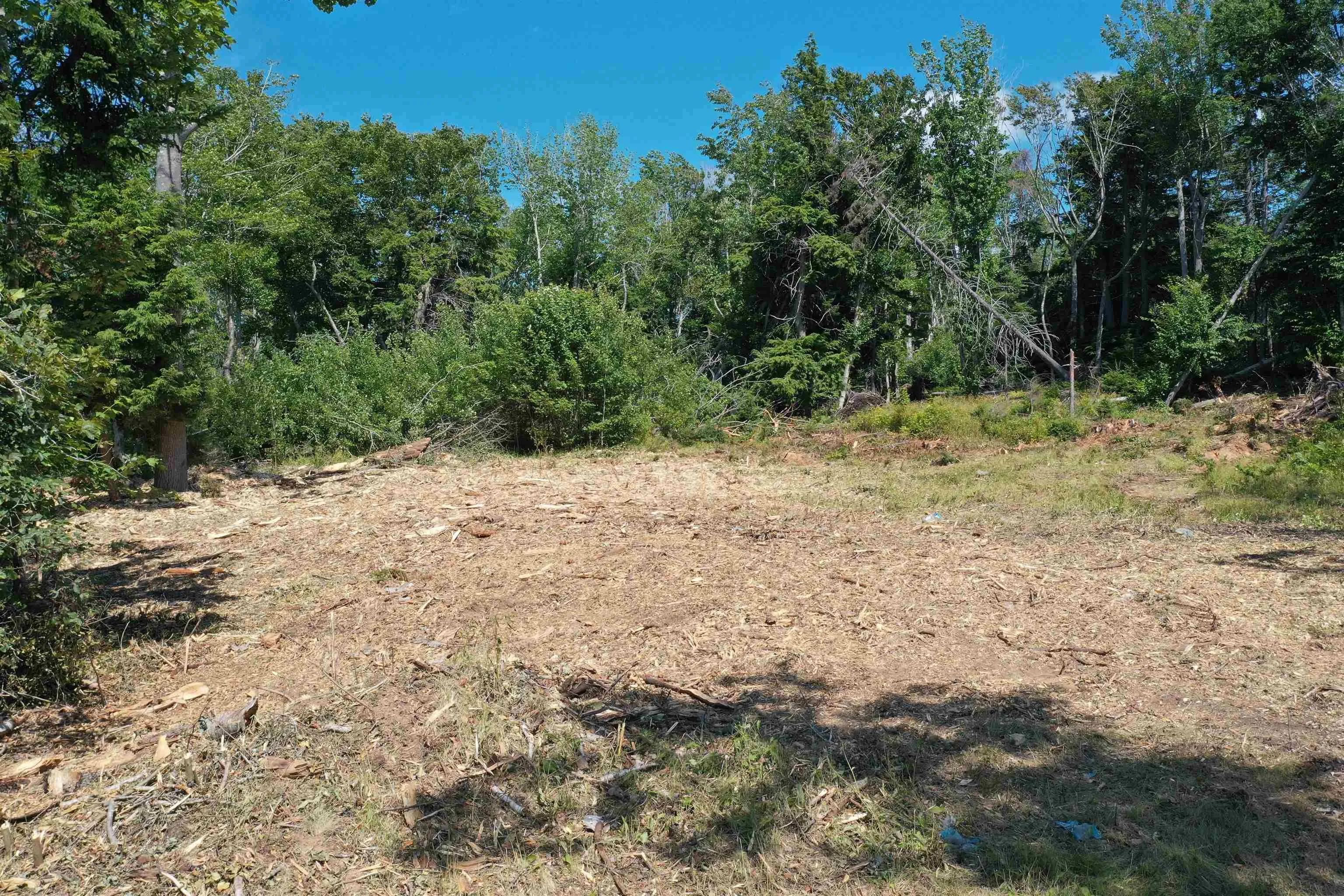 4488 Little Harbour Road, Little Harbour, NS B2H 5C4, ,Land,For Sale,Little Harbour,202520846