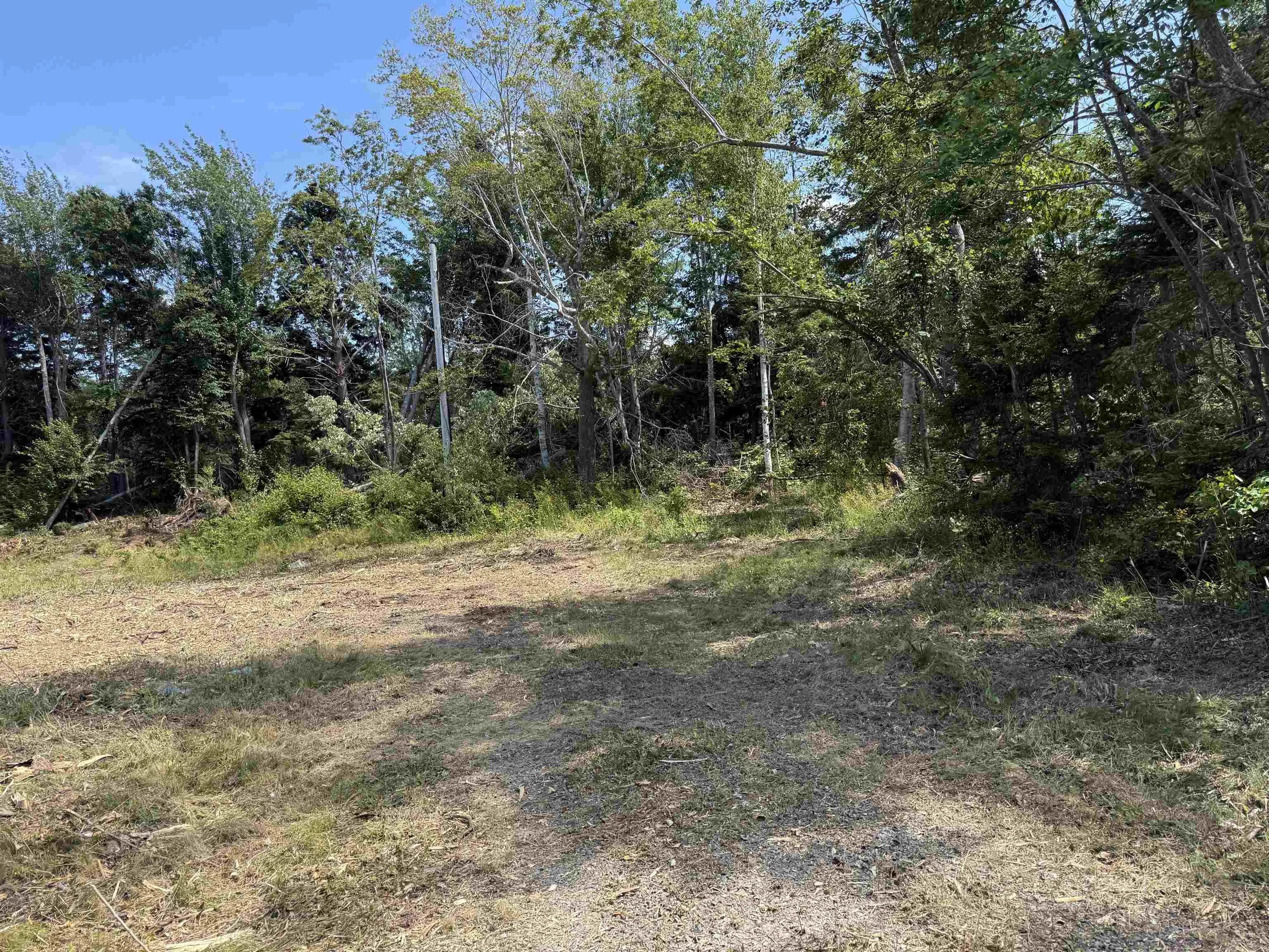 4488 Little Harbour Road, Little Harbour, NS B2H 5C4, ,Land,For Sale,Little Harbour,202520846