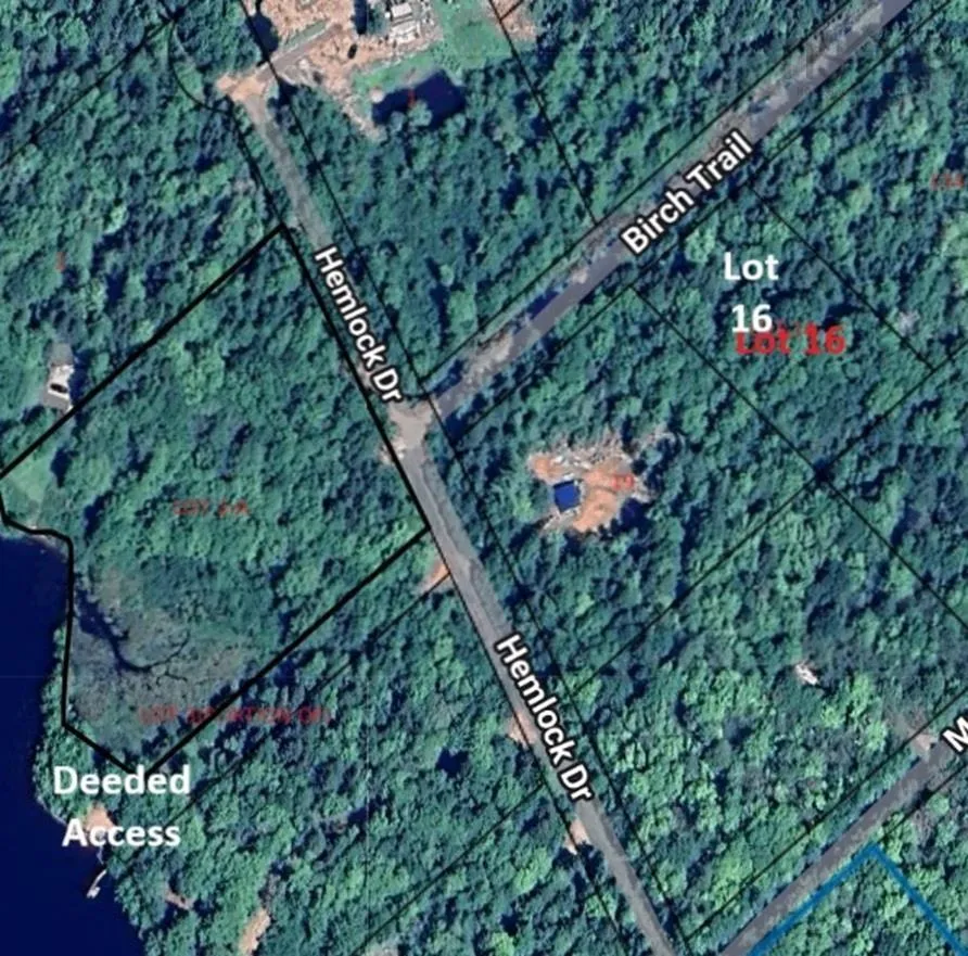 16 Birch Trail, Forties, NS B0J 2M0, ,Land,For Sale,Birch,202513064