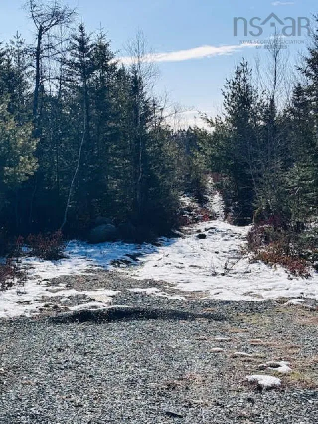 Highway 331 Lot F1, Petite Rivière Ns B4v 5z3, ,Land,For Sale,Highway 331,202509815