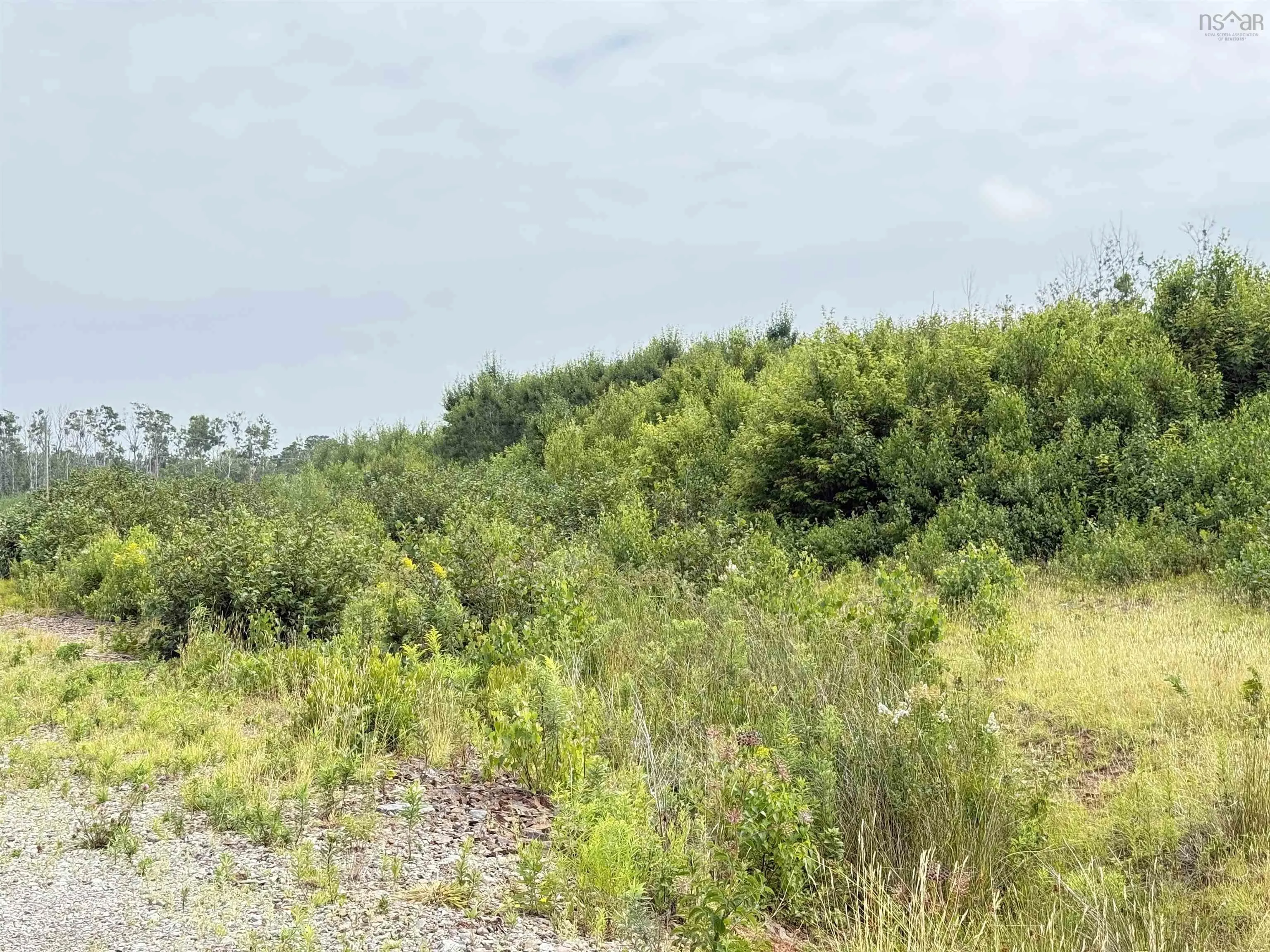 Lot 12 Red Rock Way Road, Lismore, NS B0K 1G0, ,Land,For Sale,Red Rock Way,202519168