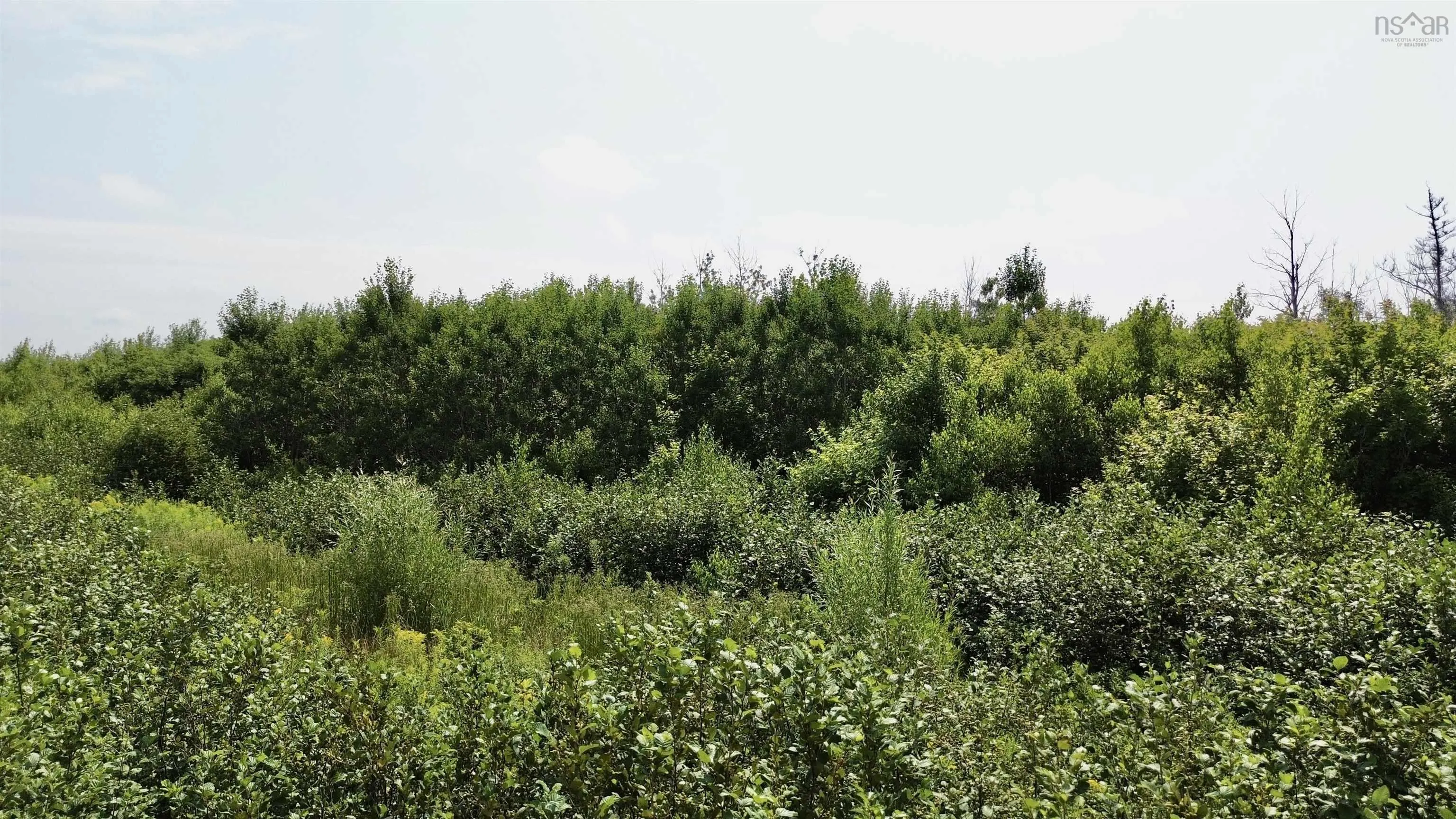 Lot 12 Red Rock Way Road, Lismore, NS B0K 1G0, ,Land,For Sale,Red Rock Way,202519168