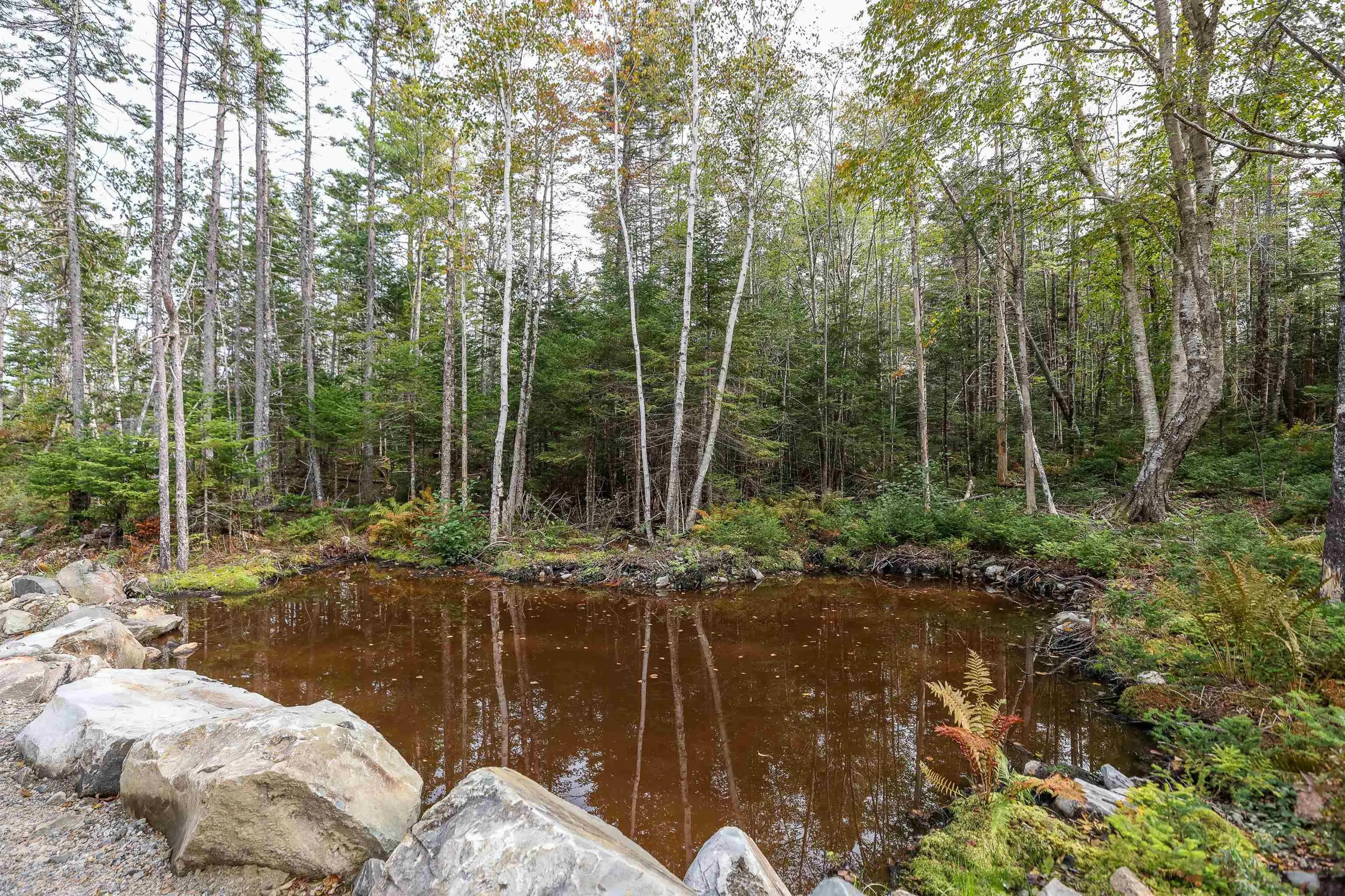 Stamping Mill Lane Lot 3, Beech Hill Ns B0j 1k0, ,Land,For Sale,Stamping Mill,202321085