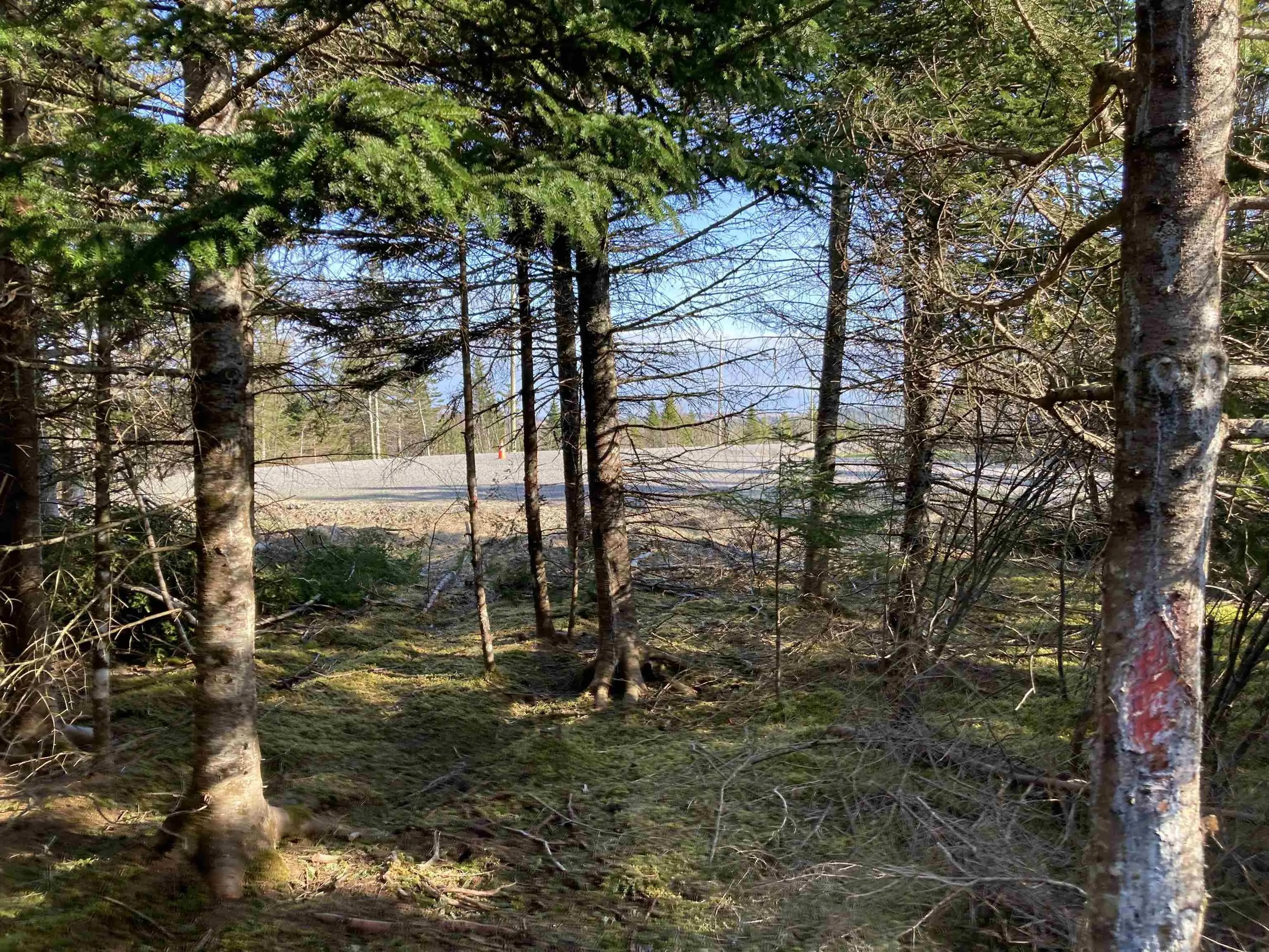 Lot 21-9 Mary Cecelia Ridge, Antigonish County Ns B0h 1p0, ,Land,For Sale,Mary Cecelia Ridge,202509474
