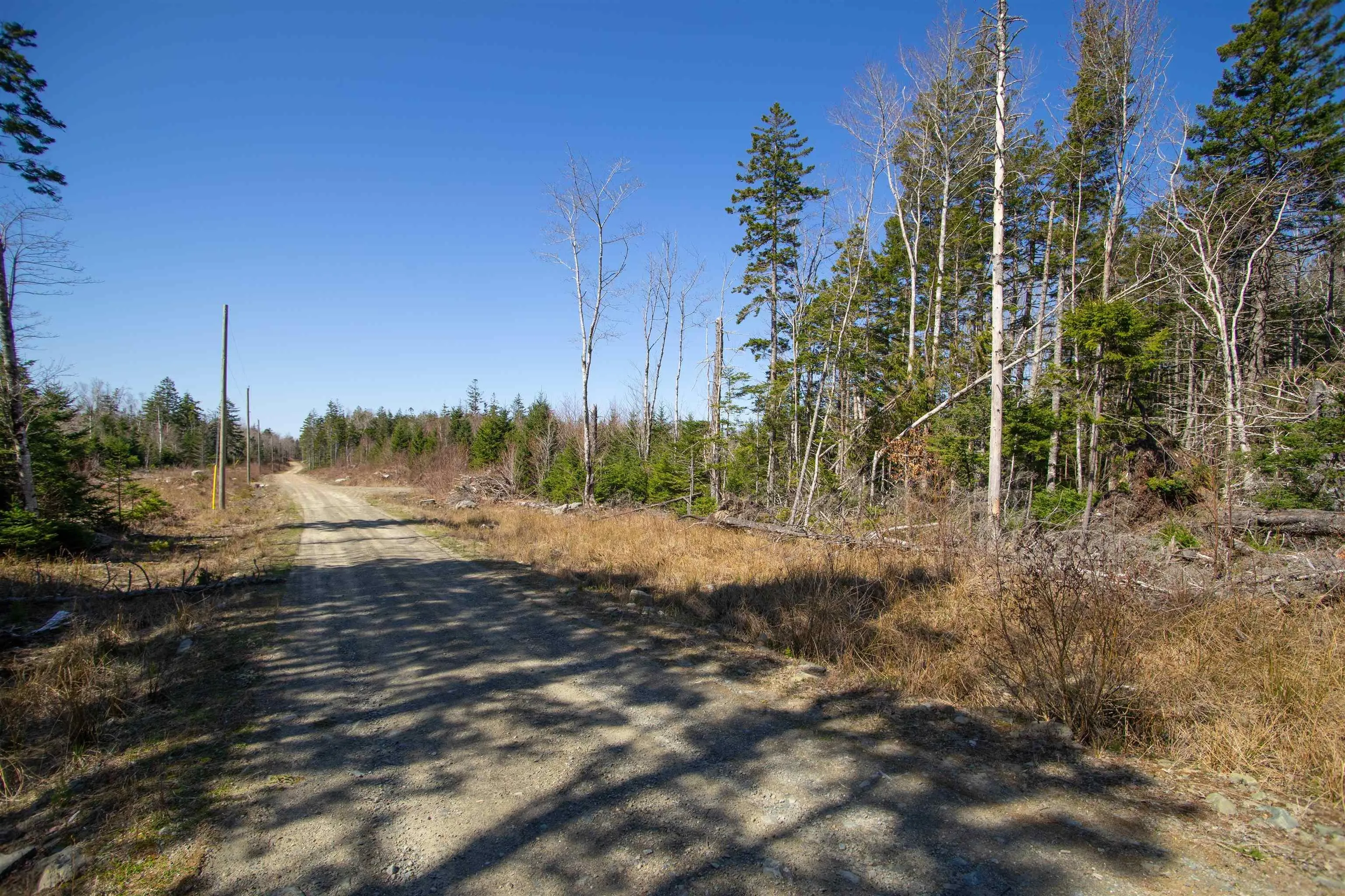 Hectanooga Road, Hectanooga Ns B0w 2y0, ,Land,For Sale,Hectanooga,202409995