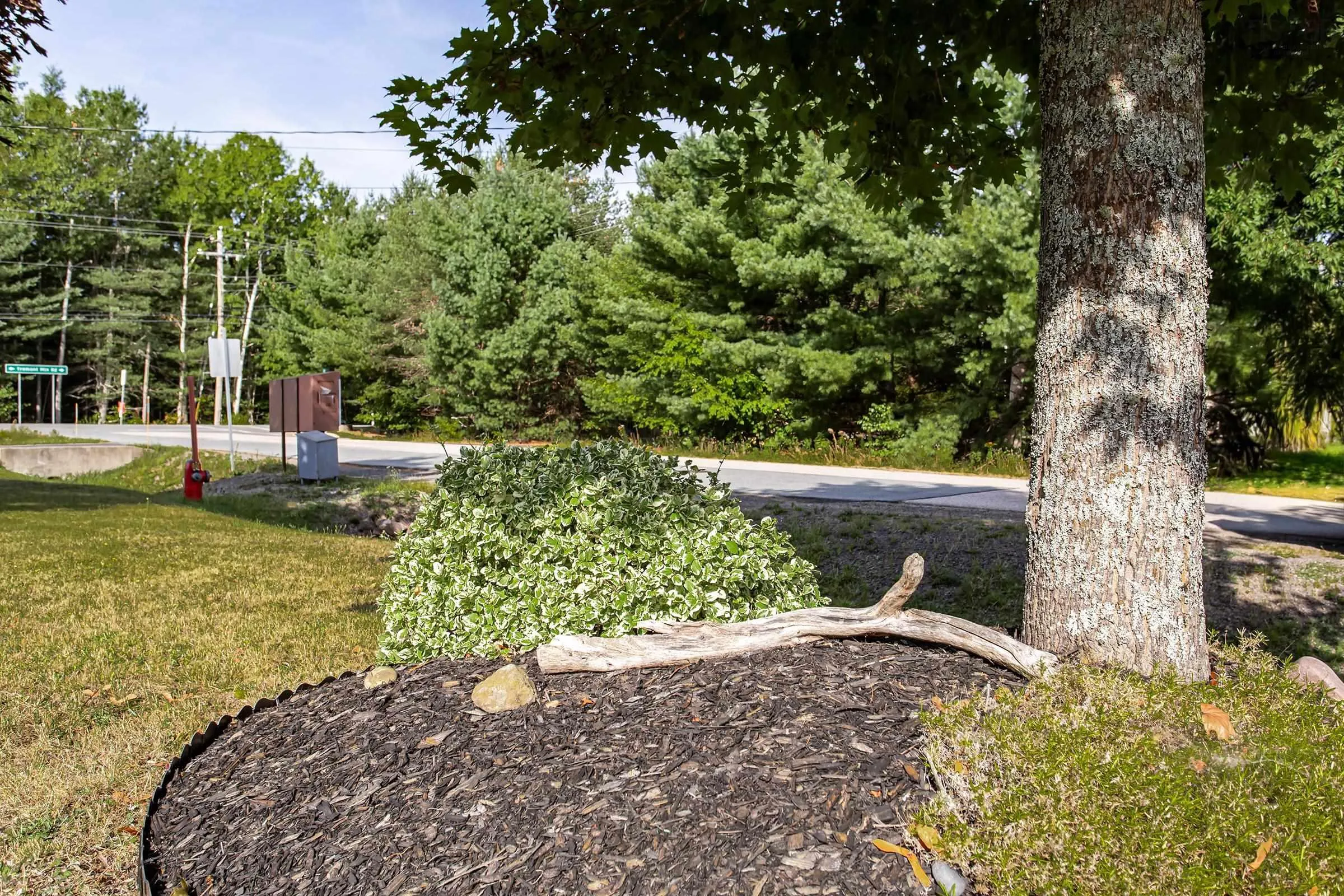 11 Rivercrest Lane, Greenwood, NS B0P 1R0, 4 Bedrooms Bedrooms, ,3 BathroomsBathrooms,Residential,For Sale,Rivercrest,202522925