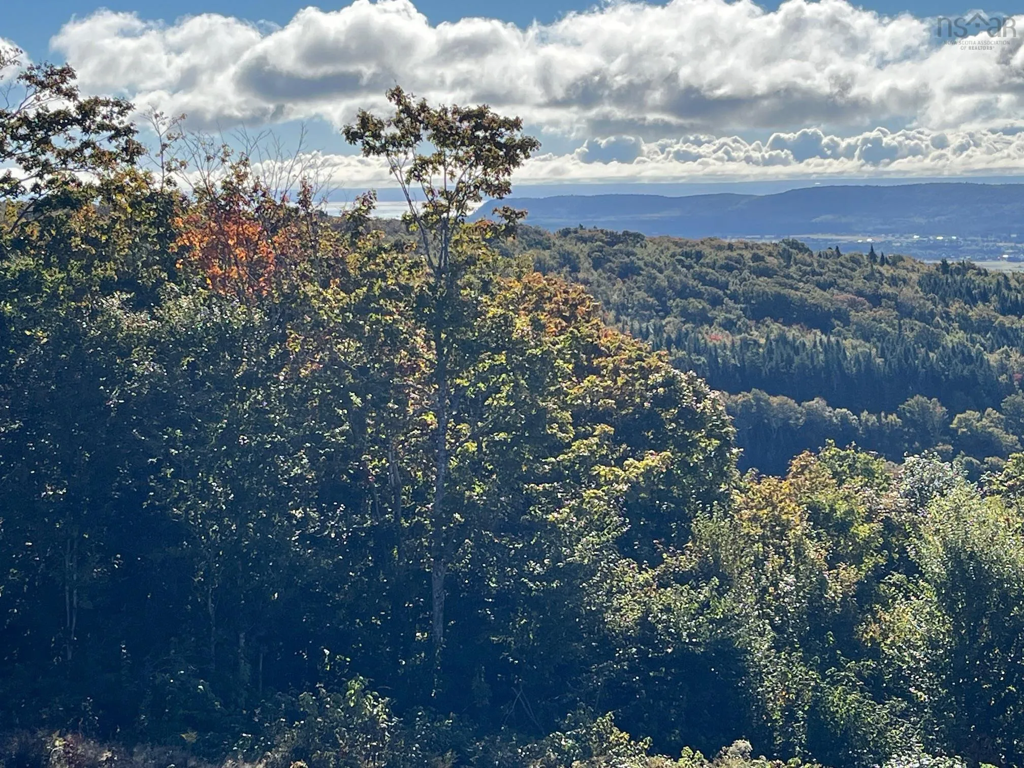 629 Eatonville Road, West Advocate Ns B0m 1s0, ,Land,For Sale,Eatonville,202422714