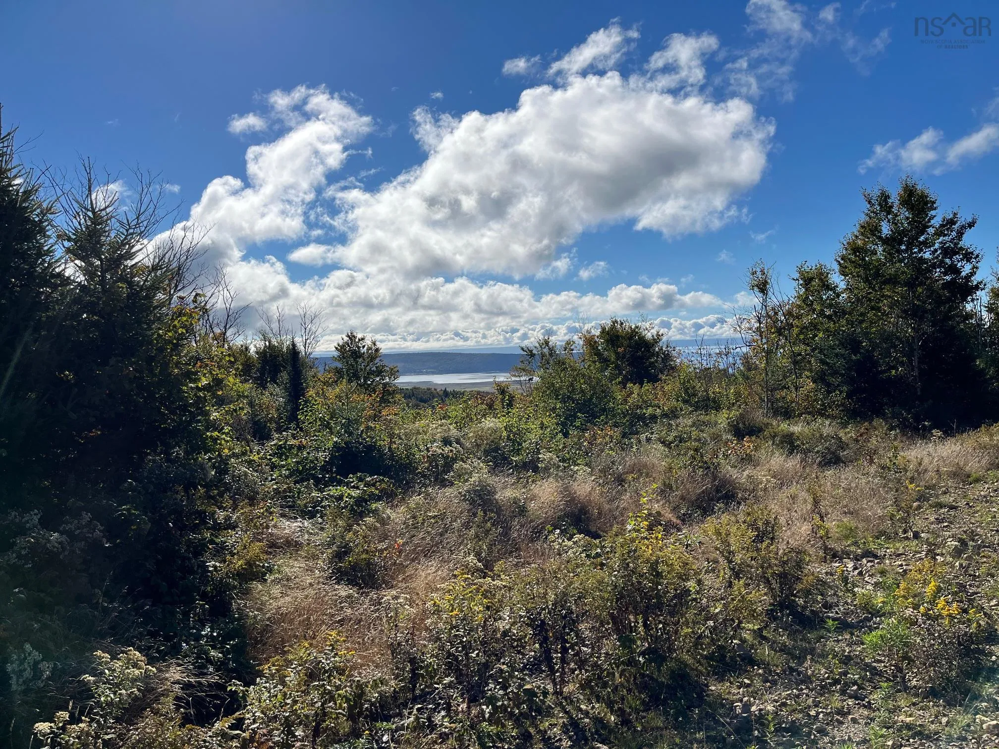629 Eatonville Road, West Advocate Ns B0m 1s0, ,Land,For Sale,Eatonville,202422714