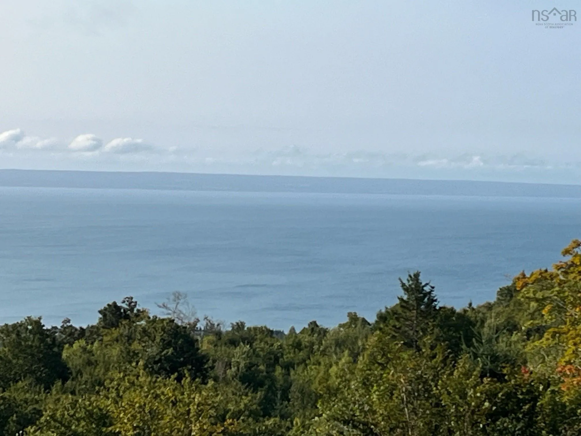 629 Eatonville Road, West Advocate Ns B0m 1s0, ,Land,For Sale,Eatonville,202422714