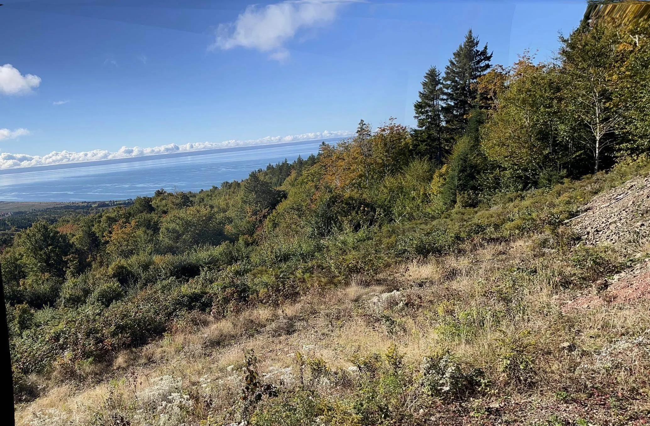 629 Eatonville Road, West Advocate Ns B0m 1s0, ,Land,For Sale,Eatonville,202422714