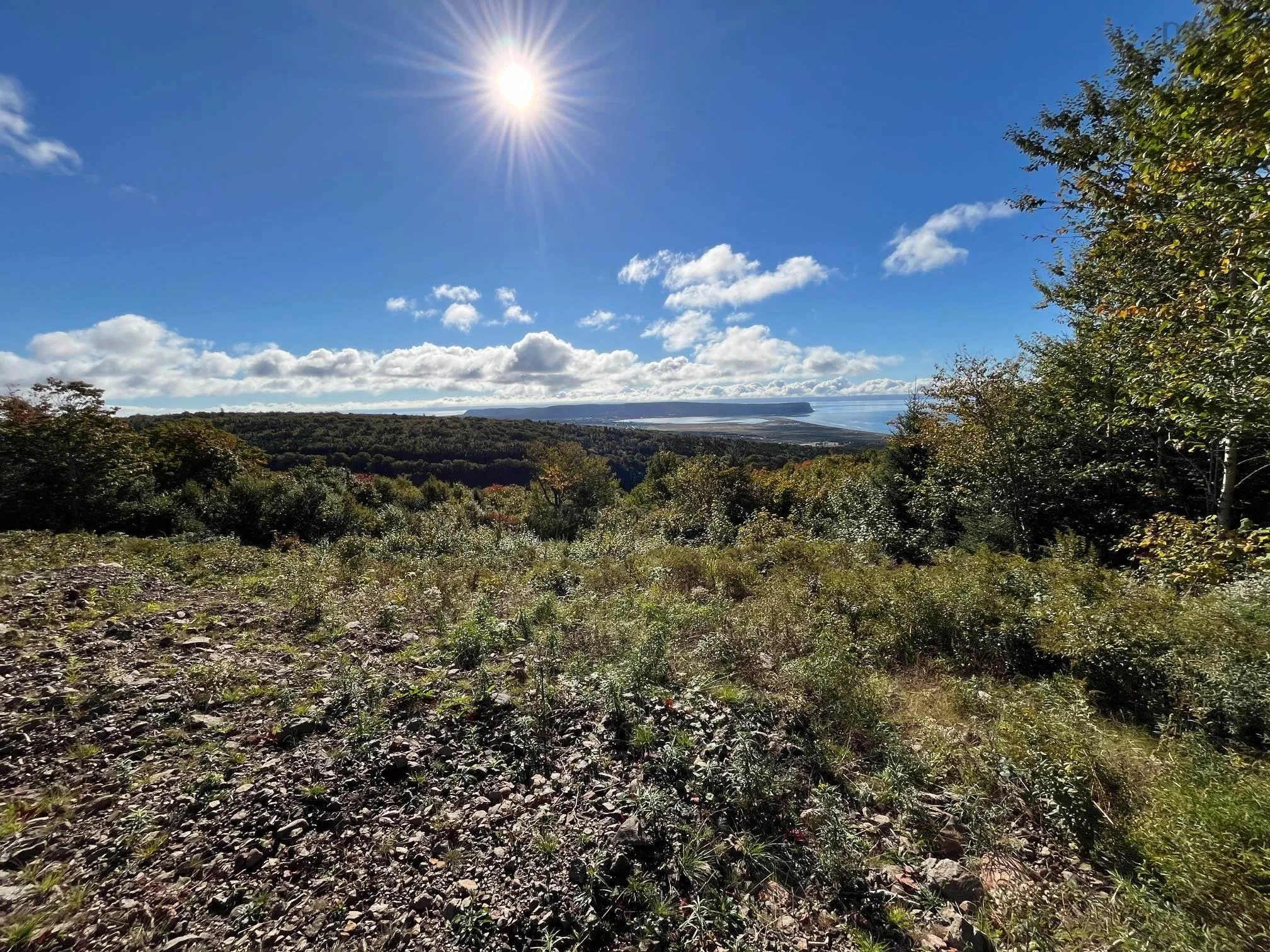 629 Eatonville Road, West Advocate Ns B0m 1s0, ,Land,For Sale,Eatonville,202422714
