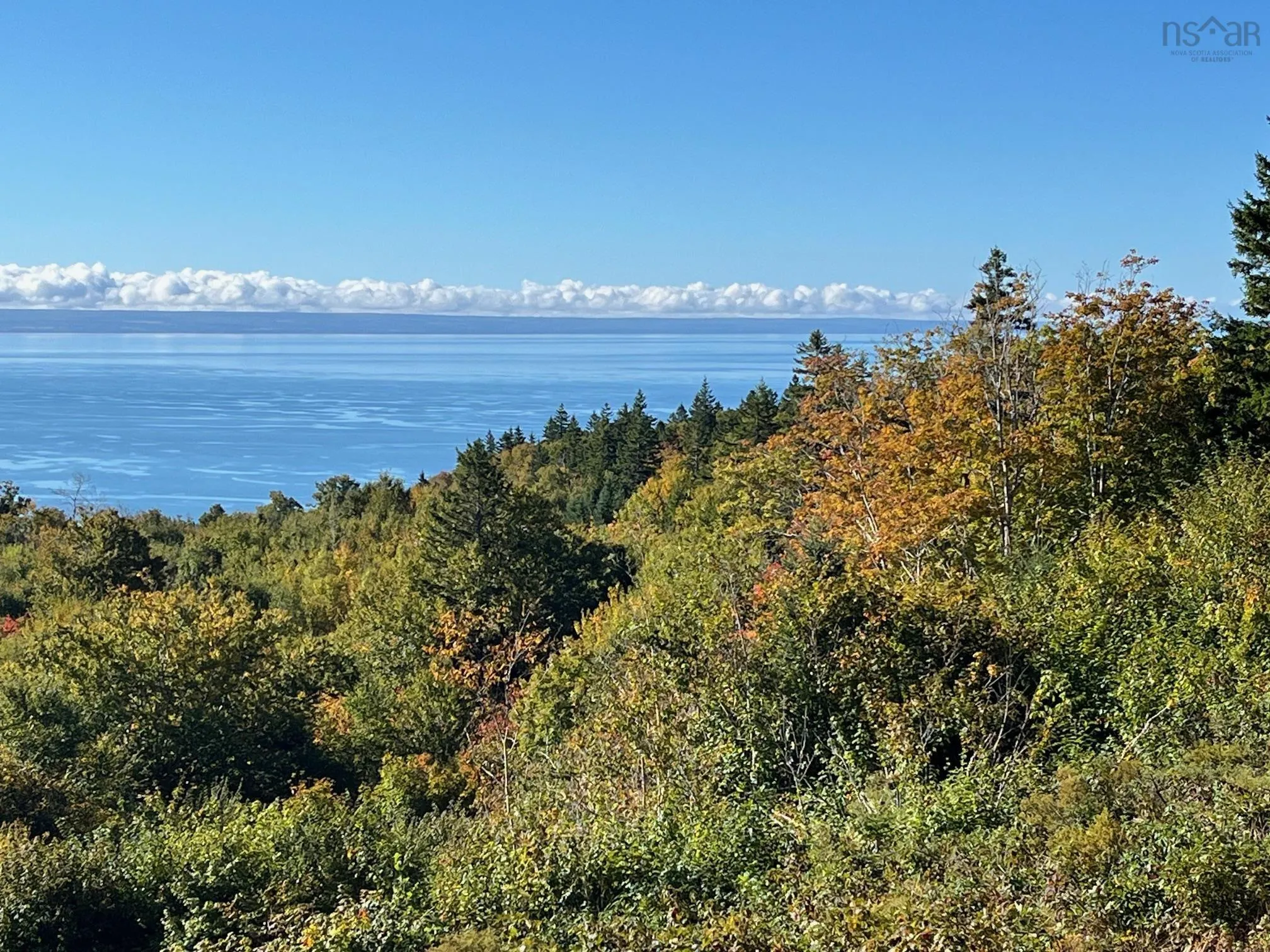 629 Eatonville Road, West Advocate Ns B0m 1s0, ,Land,For Sale,Eatonville,202422714