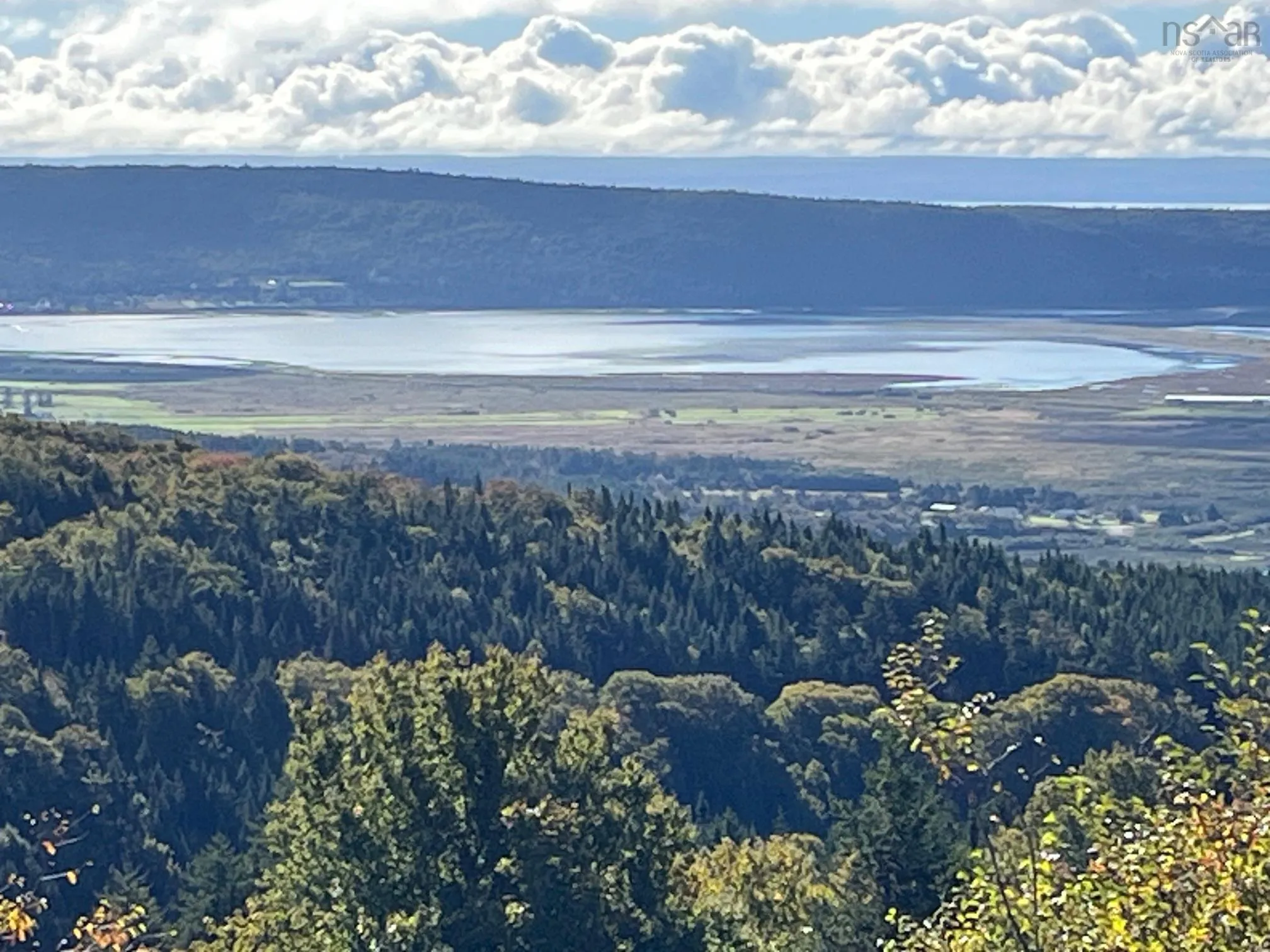 629 Eatonville Road, West Advocate Ns B0m 1s0, ,Land,For Sale,Eatonville,202422714