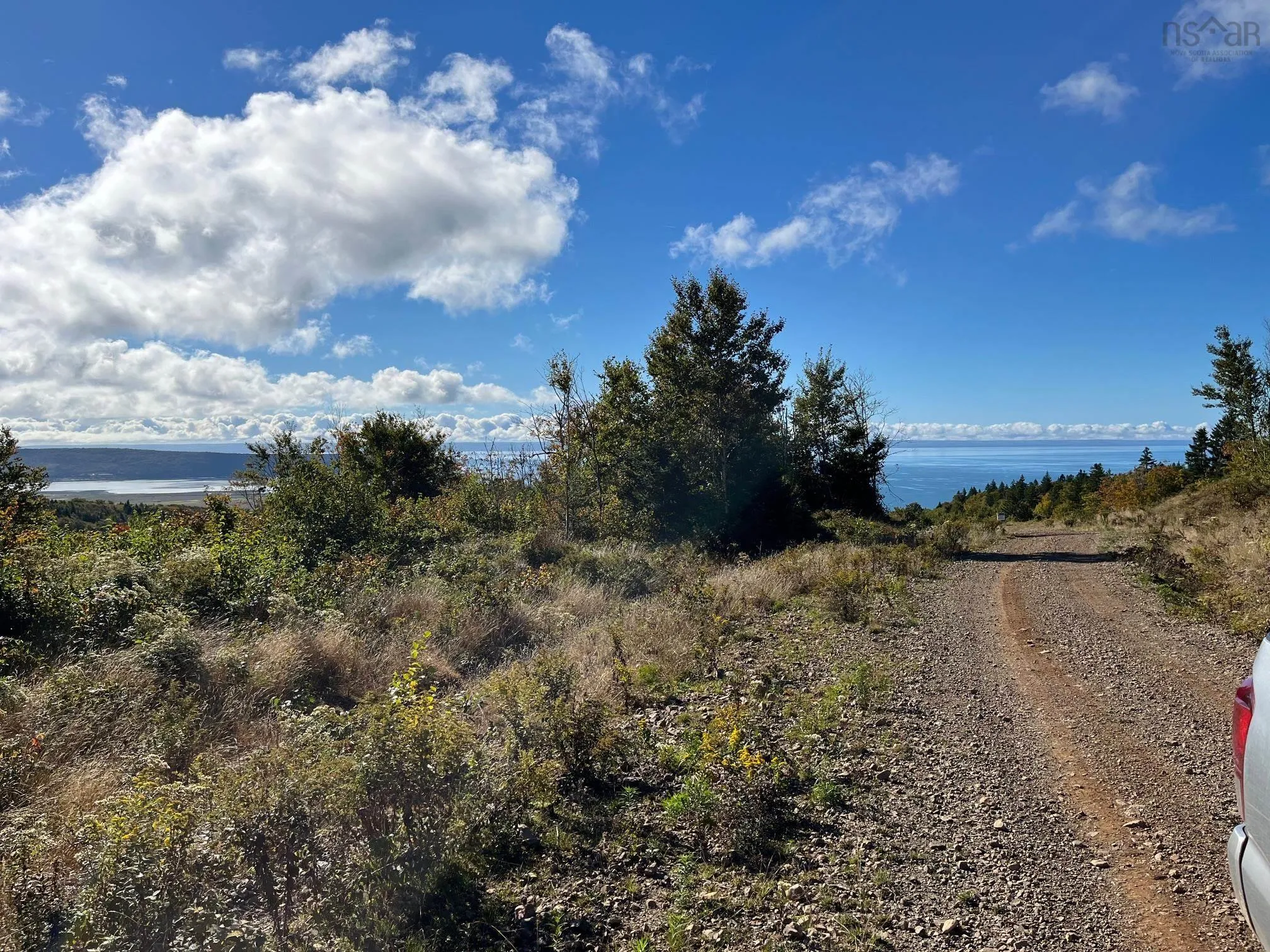 629 Eatonville Road, West Advocate Ns B0m 1s0, ,Land,For Sale,Eatonville,202422714