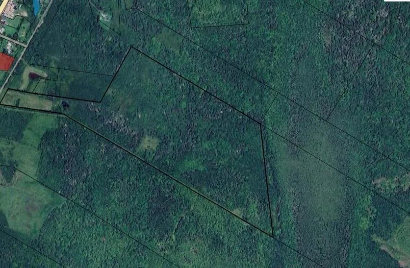 Highway 340, South Ohio Ns B5a 5n1, ,Land,For Sale,Highway 340,202418109