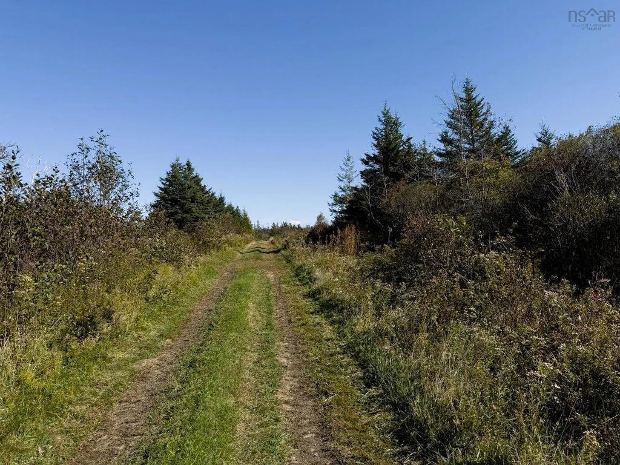 Highway 340, South Ohio Ns B5a 5n1, ,Land,For Sale,Highway 340,202418109