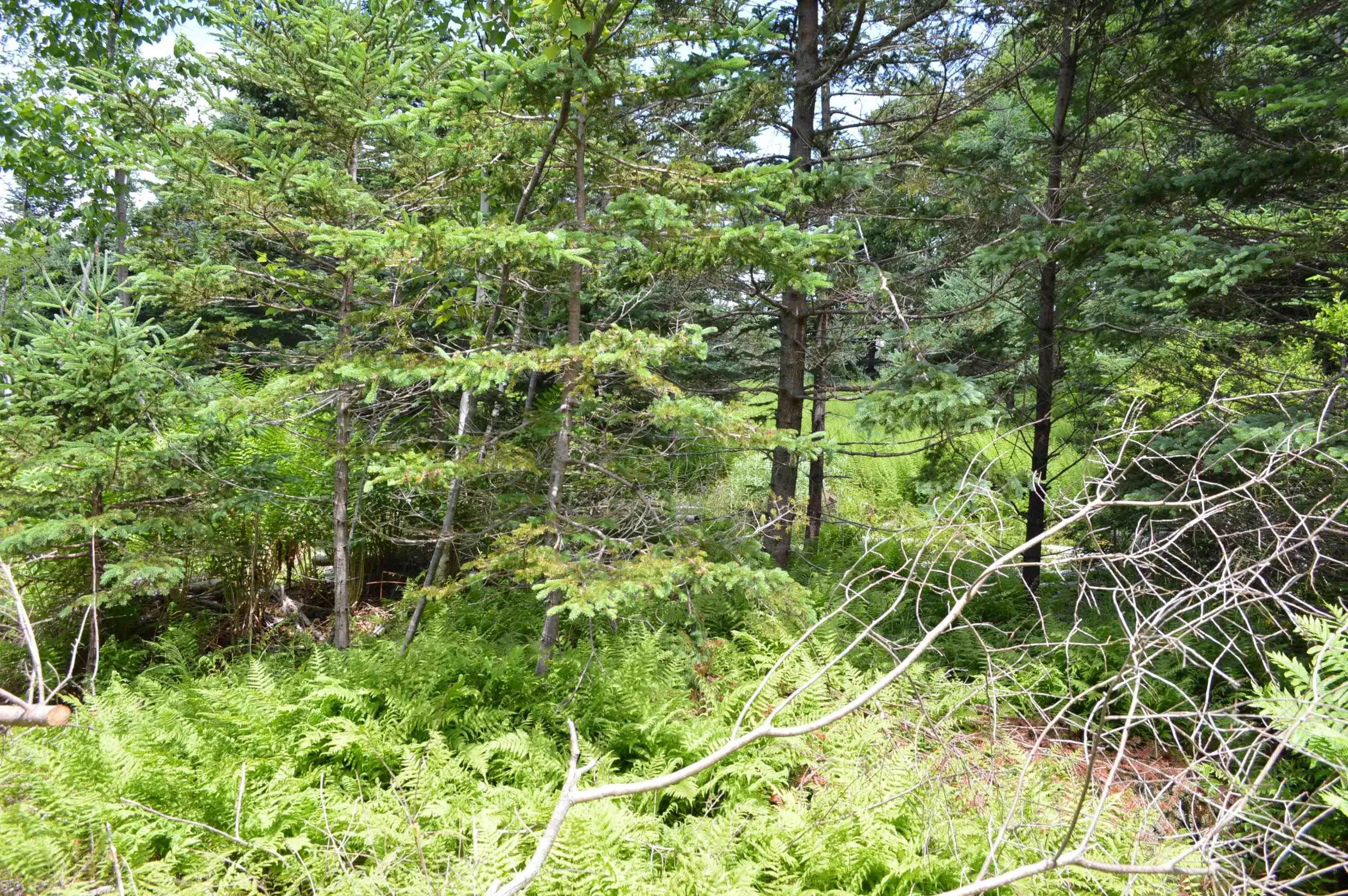 Portion Of 60169216 Blue Rocks Road Lot 2, Garden Lots, NS B0J 2C0, ,Land,For Sale,Pid60169216 Blue Rocks,202511256