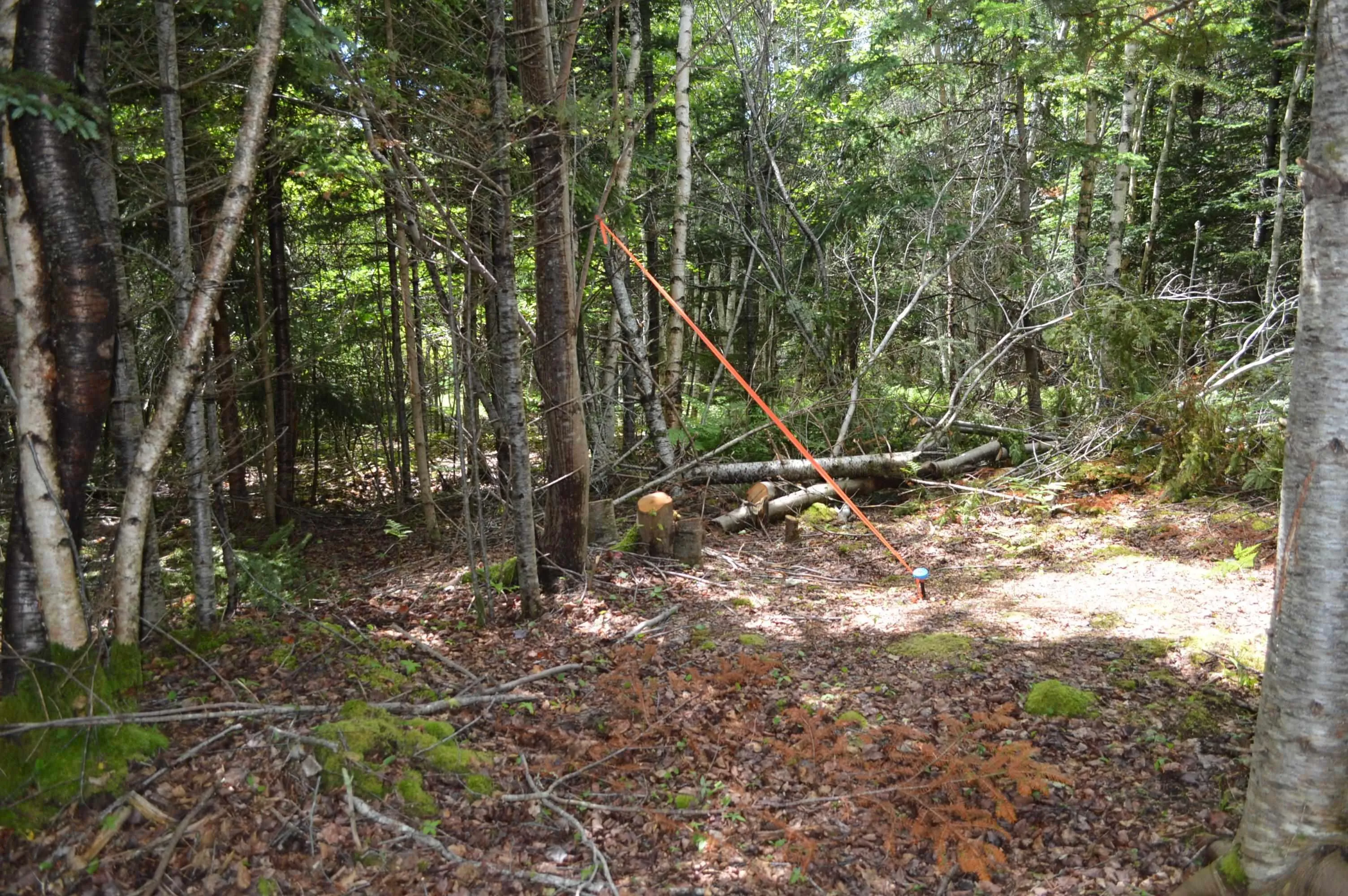 Portion Of 60169216 Blue Rocks Road Lot 2, Garden Lots, NS B0J 2C0, ,Land,For Sale,Pid60169216 Blue Rocks,202511256