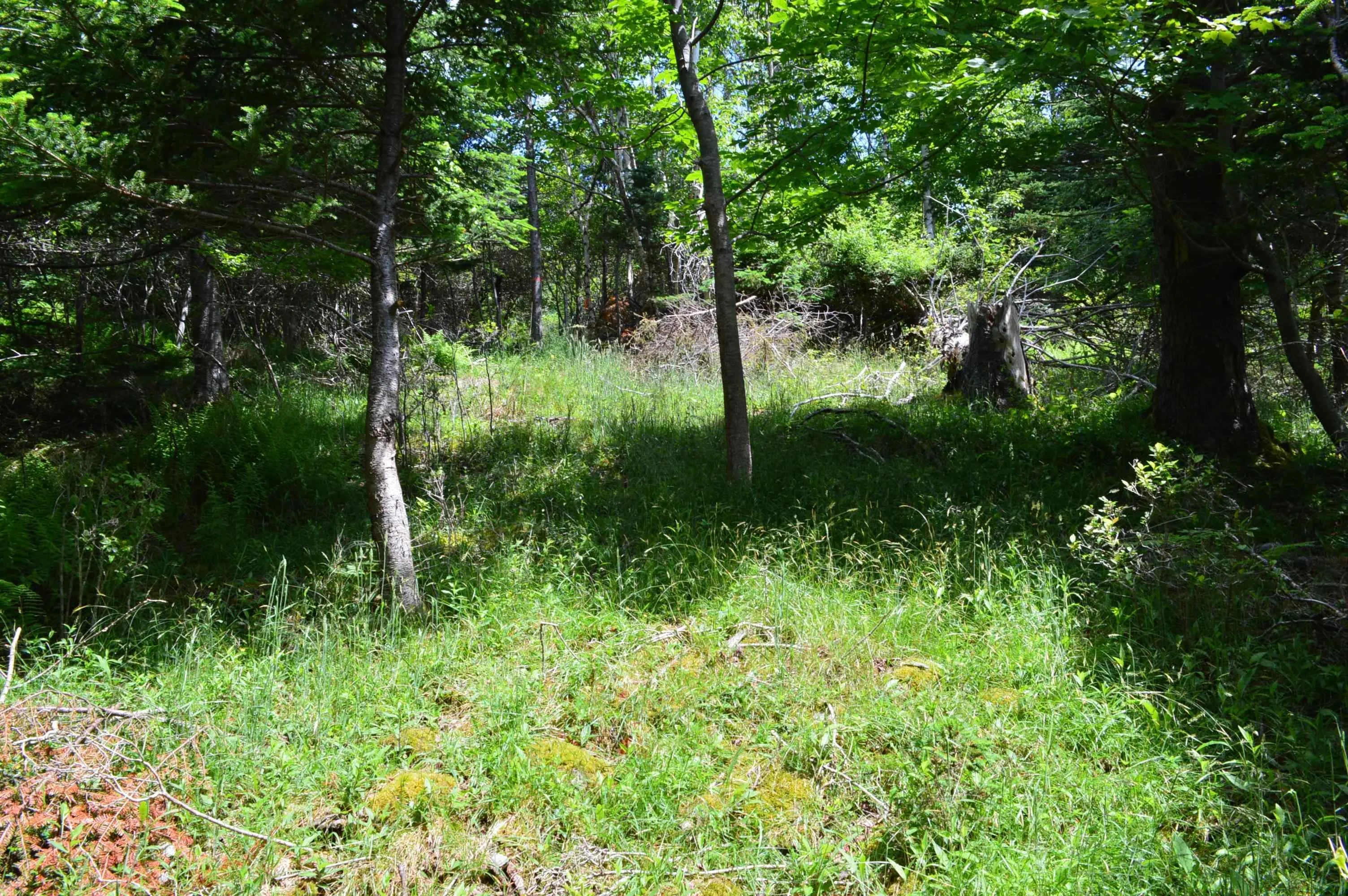 Portion Of 60169216 Blue Rocks Road Lot 2, Garden Lots, NS B0J 2C0, ,Land,For Sale,Pid60169216 Blue Rocks,202511256