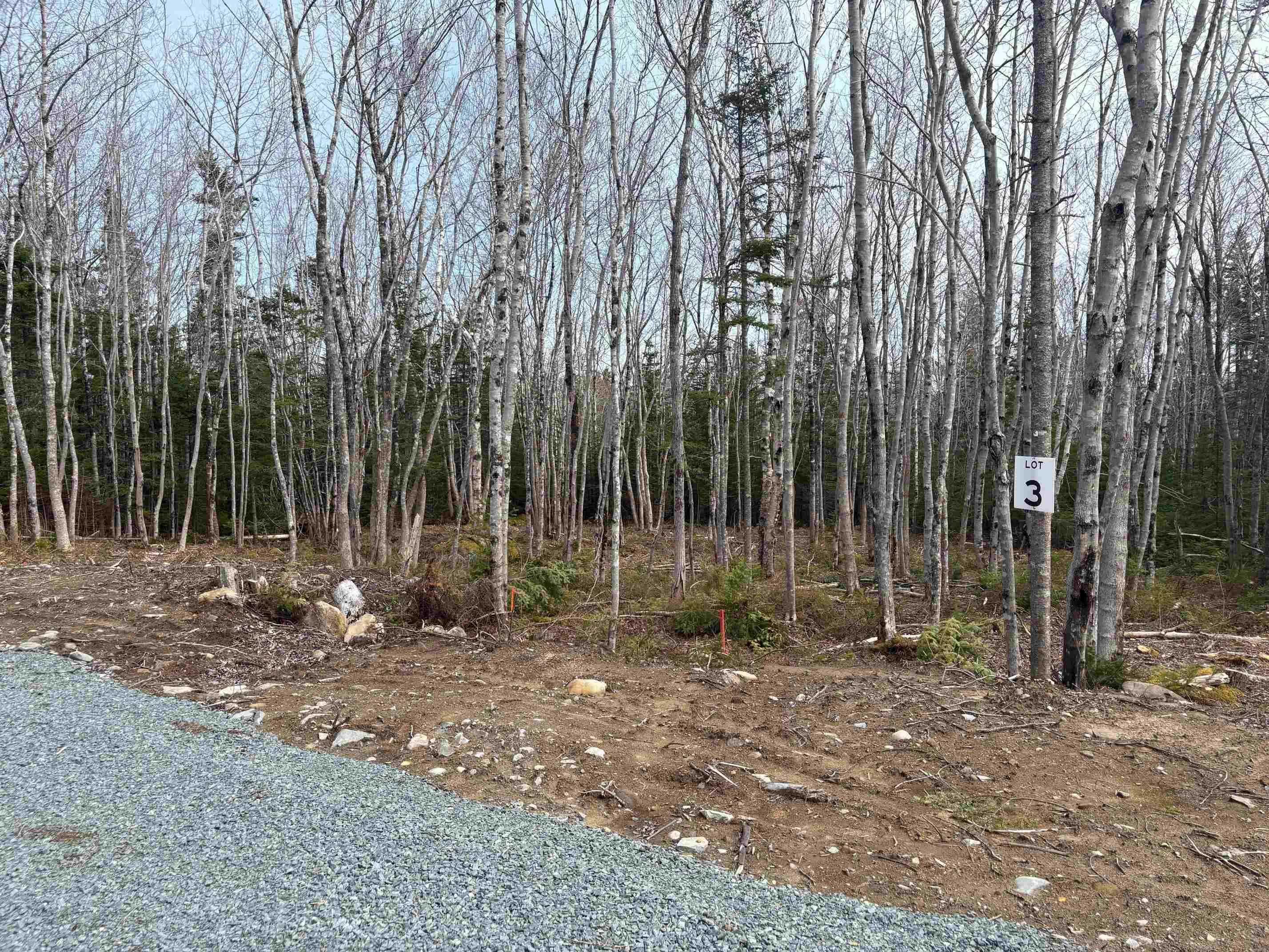 Larry Seldon Lane Lot 3, Western Head, NS B0T 1K0, ,Land,For Sale,Larry Seldon,202427661