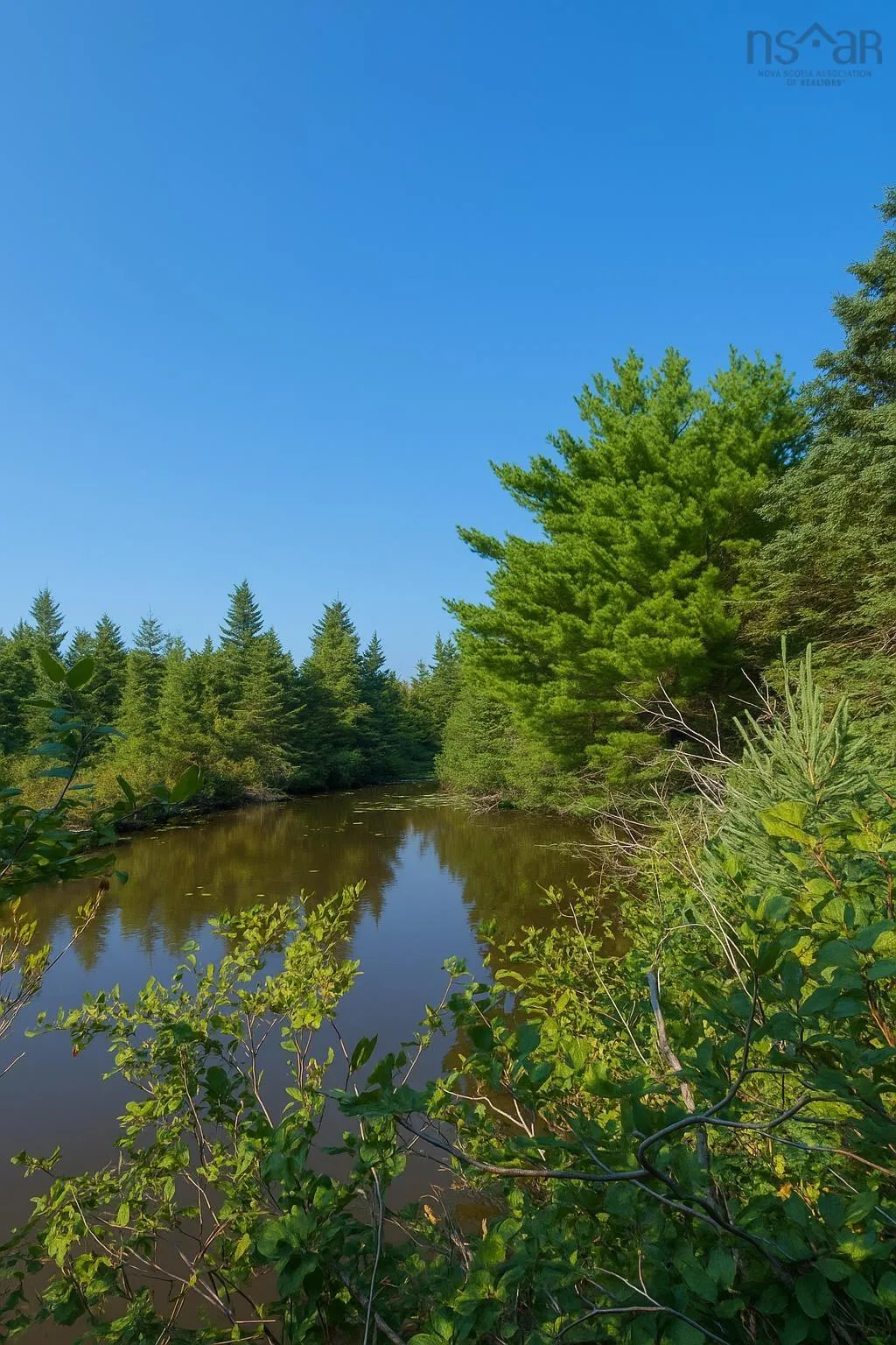 52 New Zealand Road, Cherry Hill, NS B0J 2H0, ,Land,For Sale,New Zealand,202520424