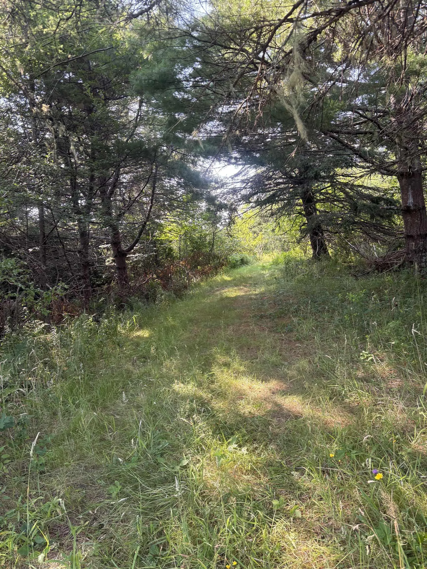 52 New Zealand Road, Cherry Hill, NS B0J 2H0, ,Land,For Sale,New Zealand,202520424