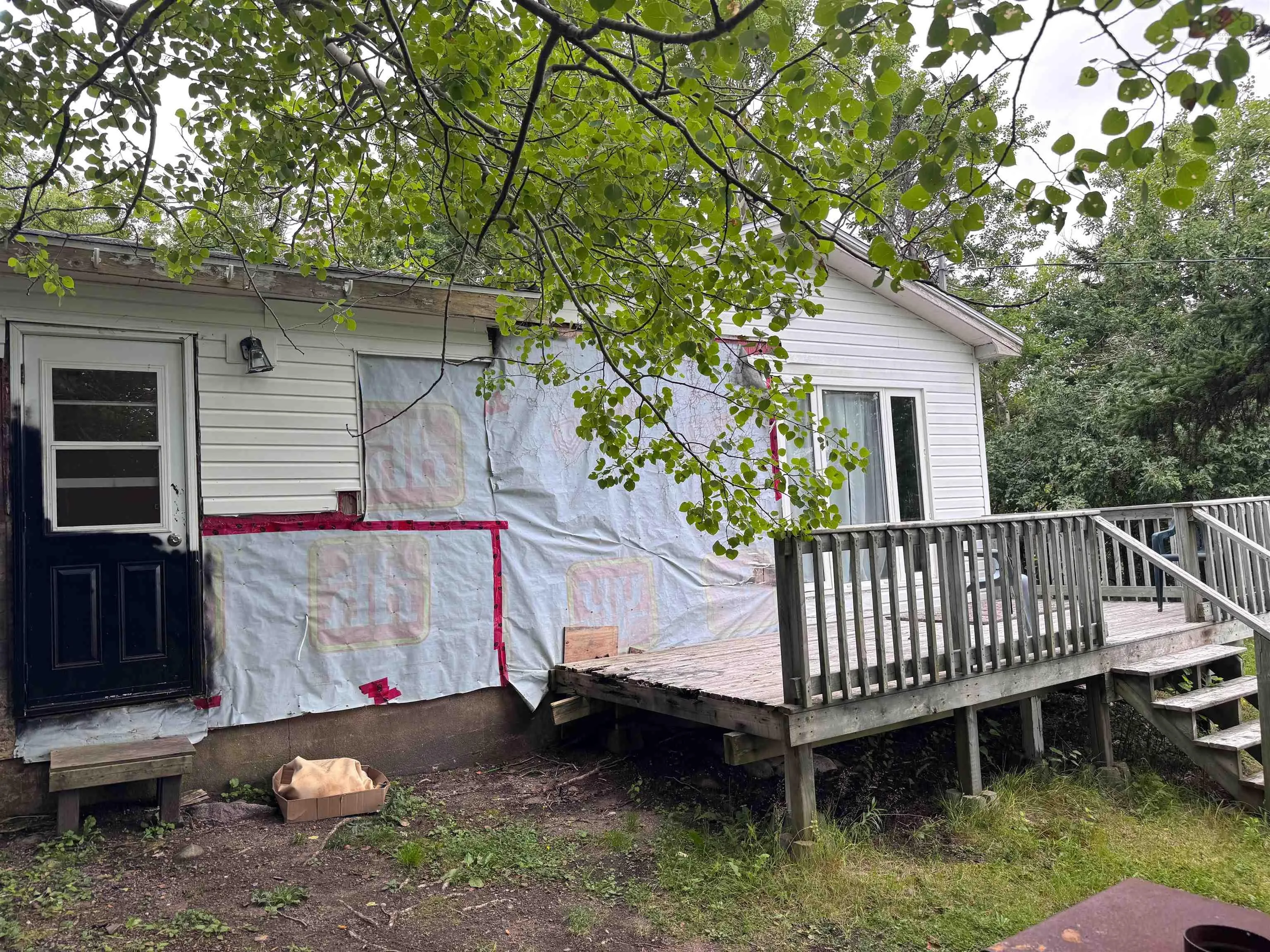 339 New Haven Road, New Haven, NS B0C 1N0, 2 Bedrooms Bedrooms, ,1 BathroomBathrooms,Residential,For Sale,New Haven,202522186
